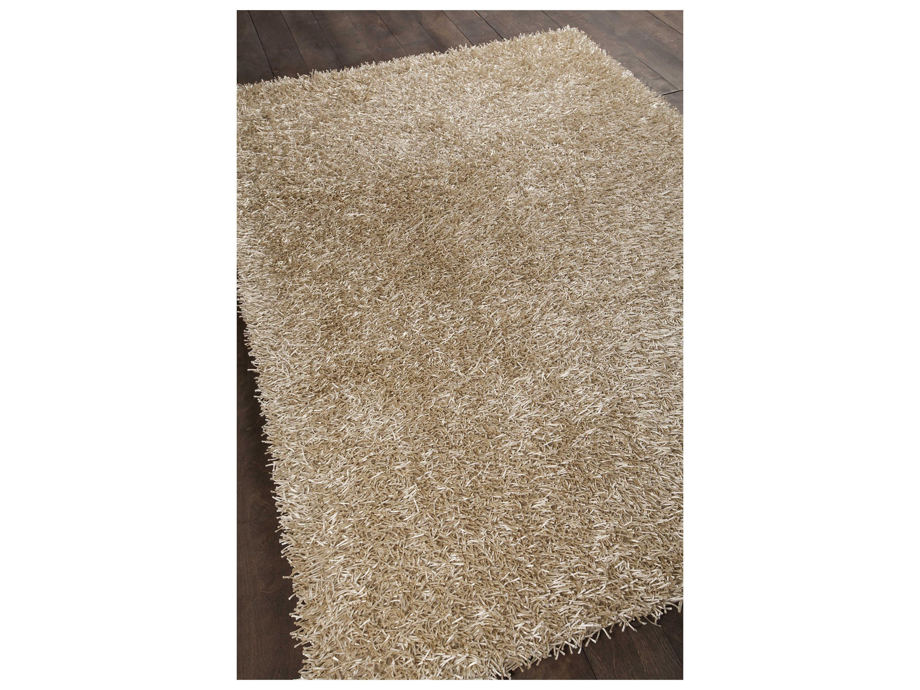 Chandra Zara Shag Area Rug