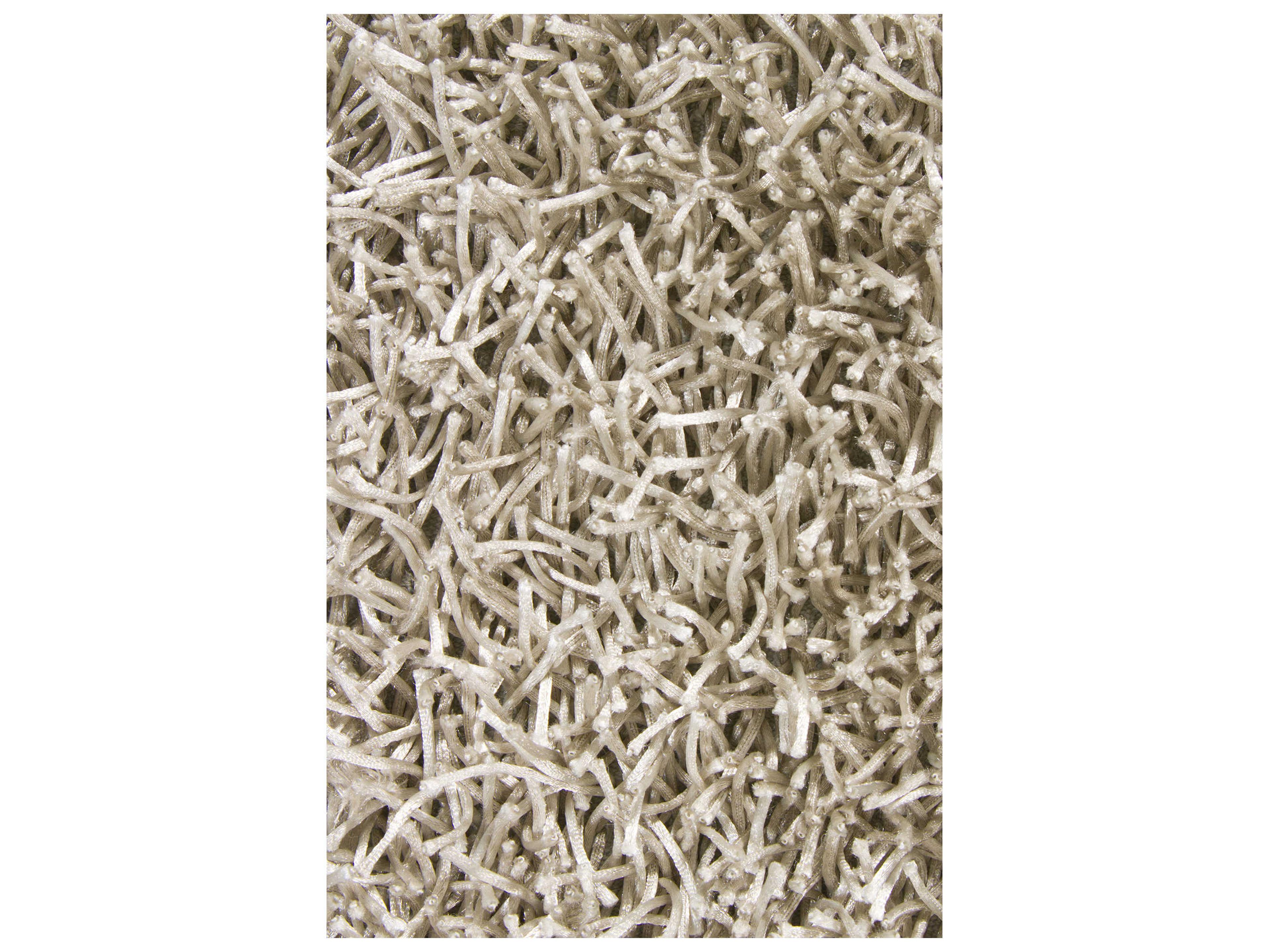 Chandra Zara Shag Area Rug