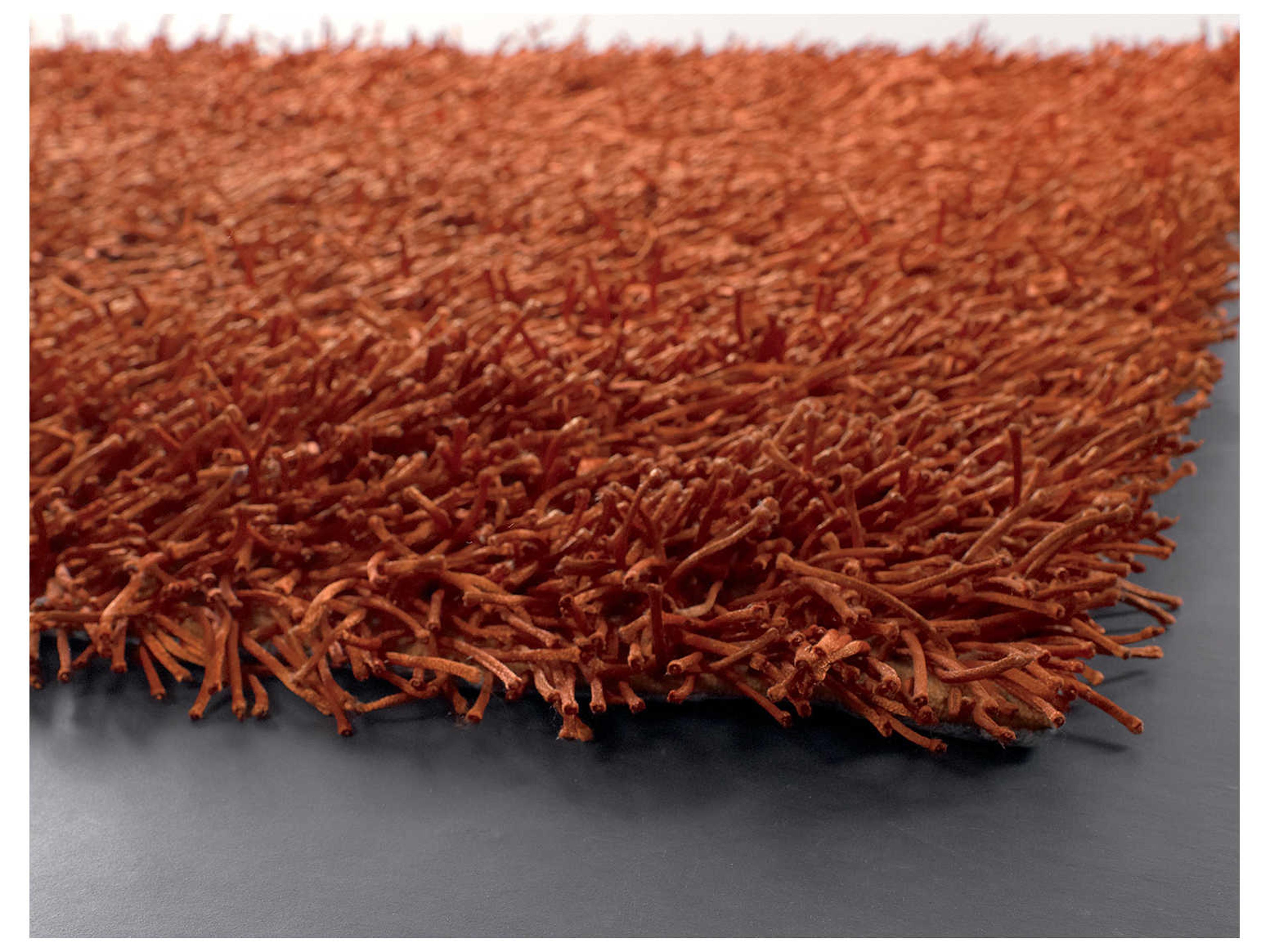 Chandra Zara Shag Area Rug