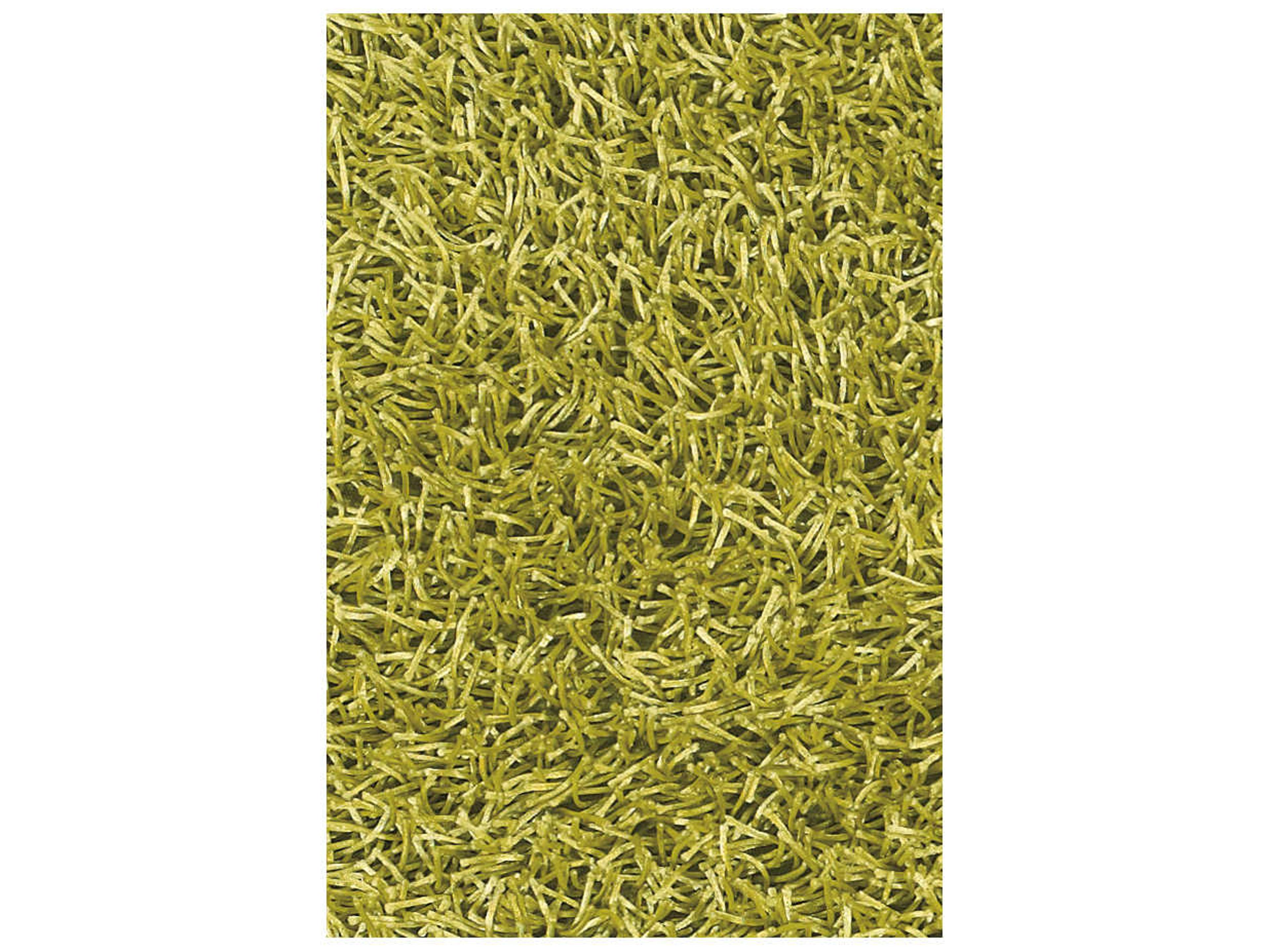 Chandra Zara Shag Area Rug
