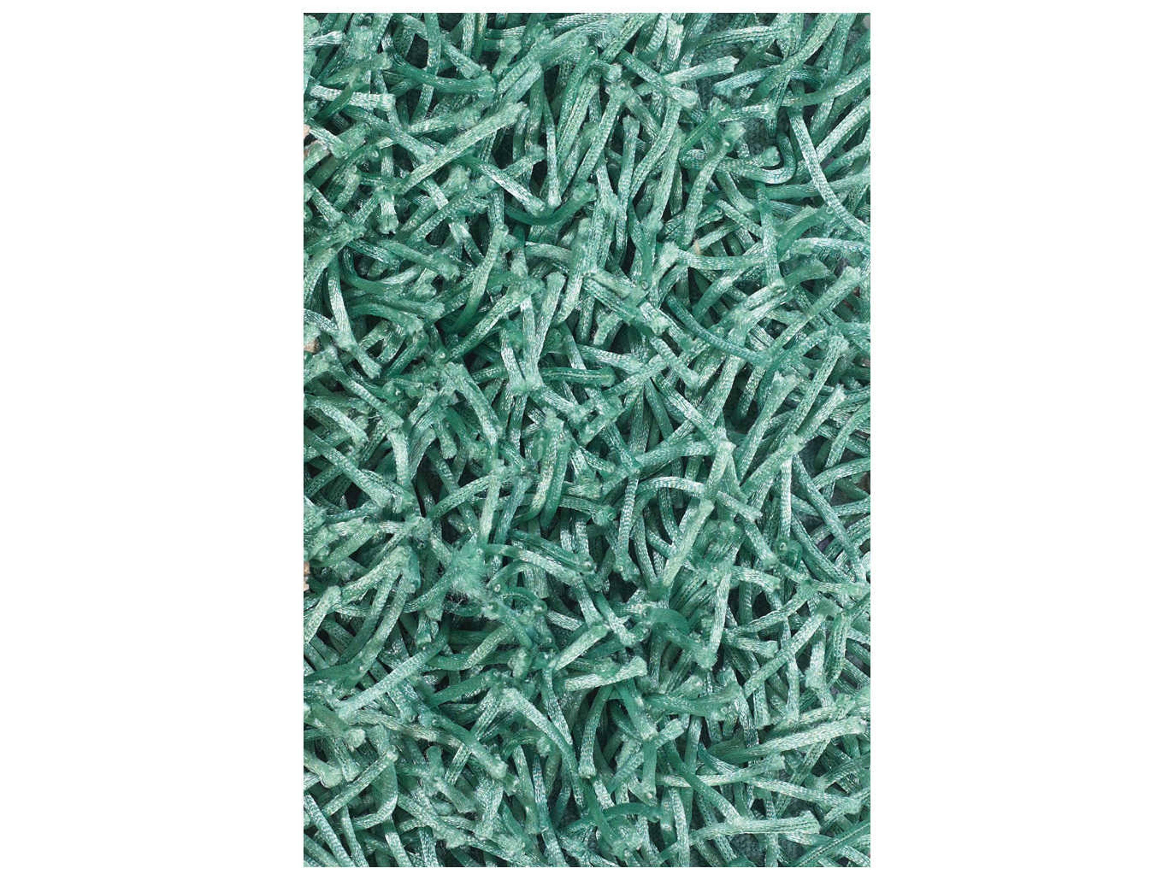 Chandra Zara Shag Area Rug