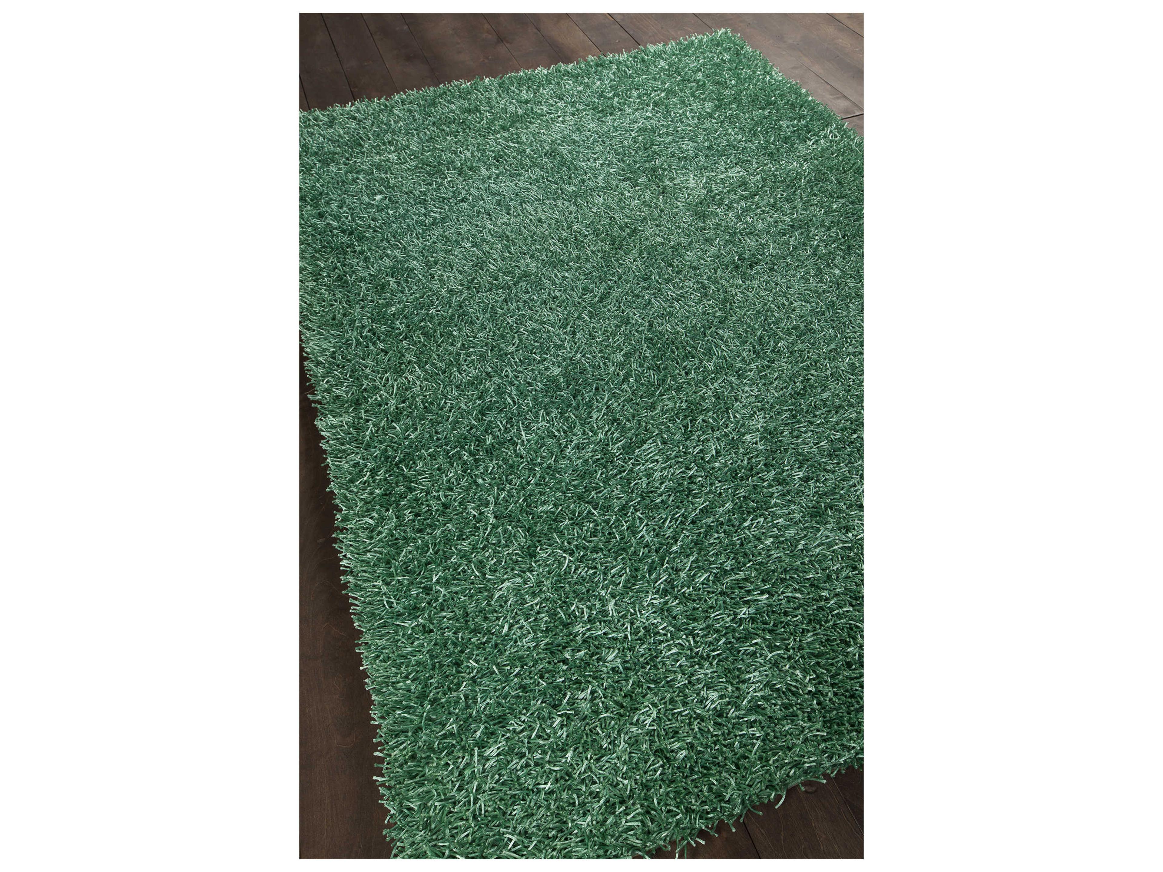 Chandra Zara Shag Area Rug