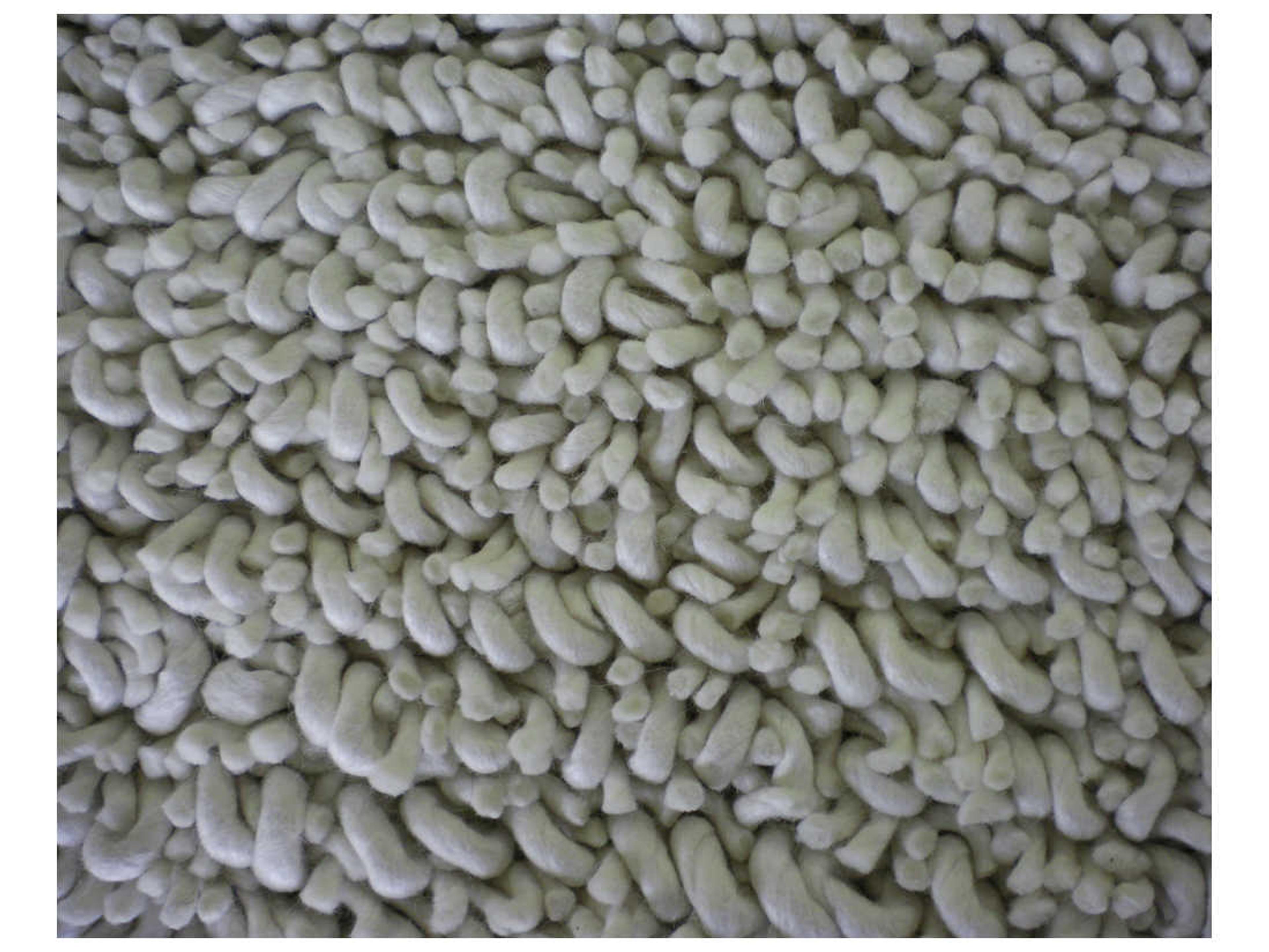 Chandra Zeal Shag Area Rug