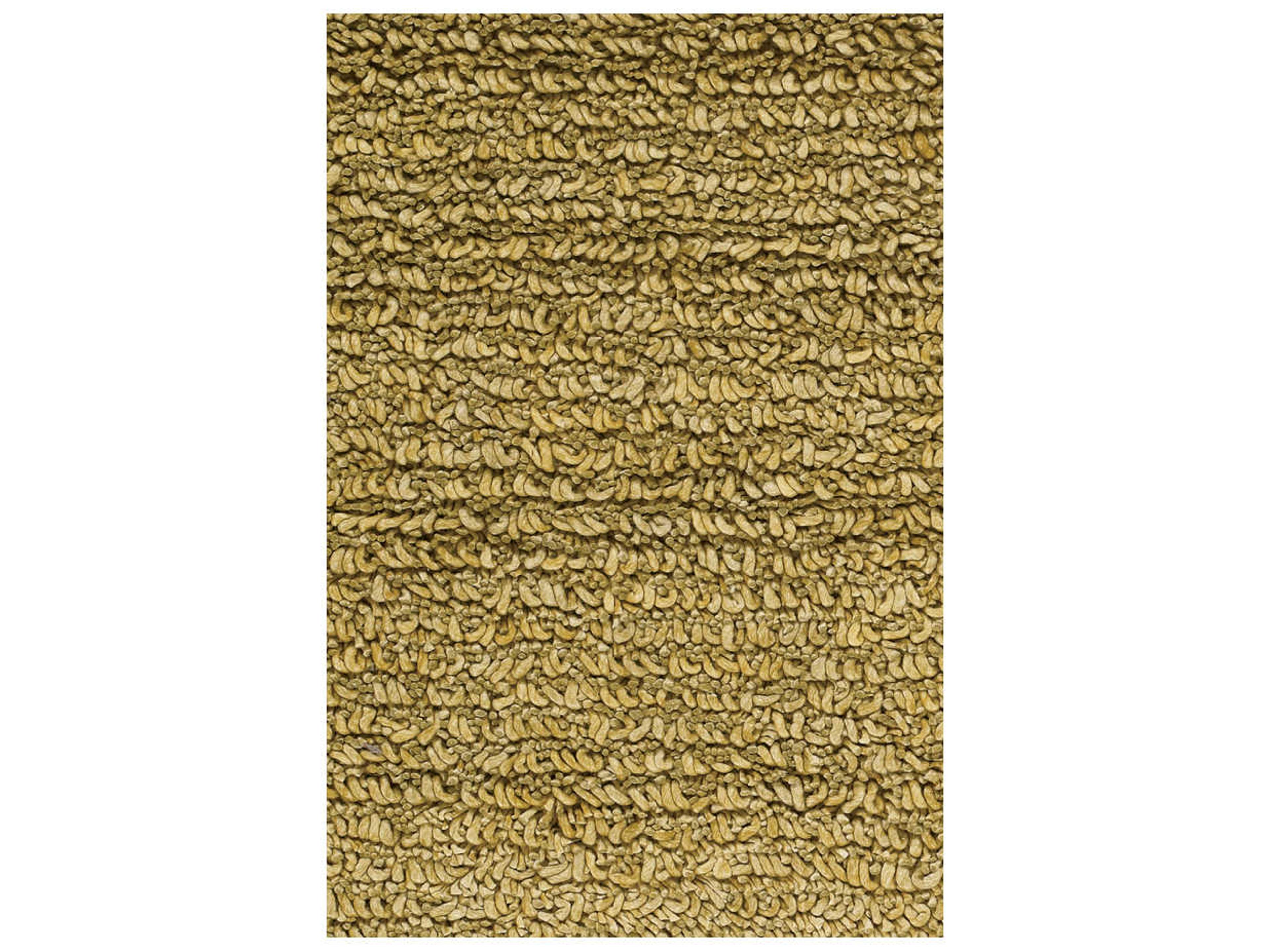 Chandra Zeal Shag Area Rug