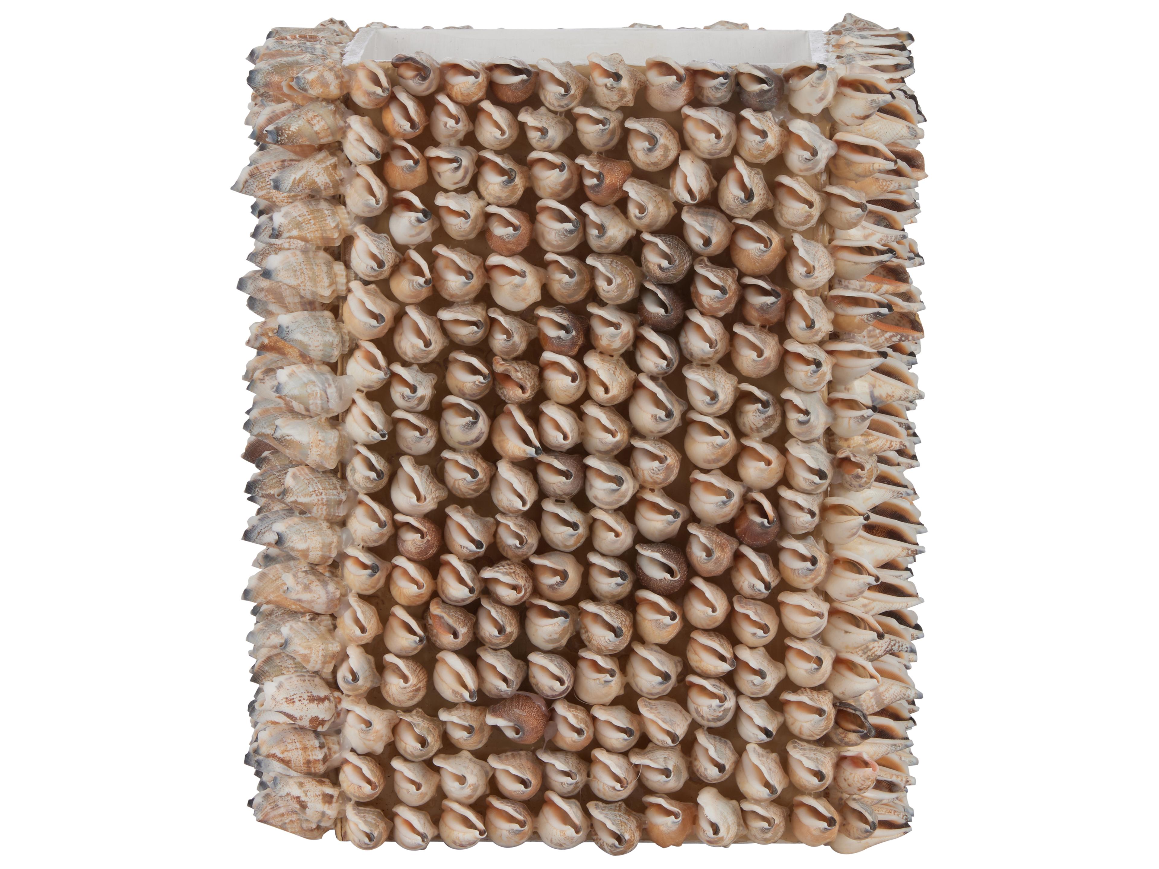 Chelsea House White Natural Decorative Accent