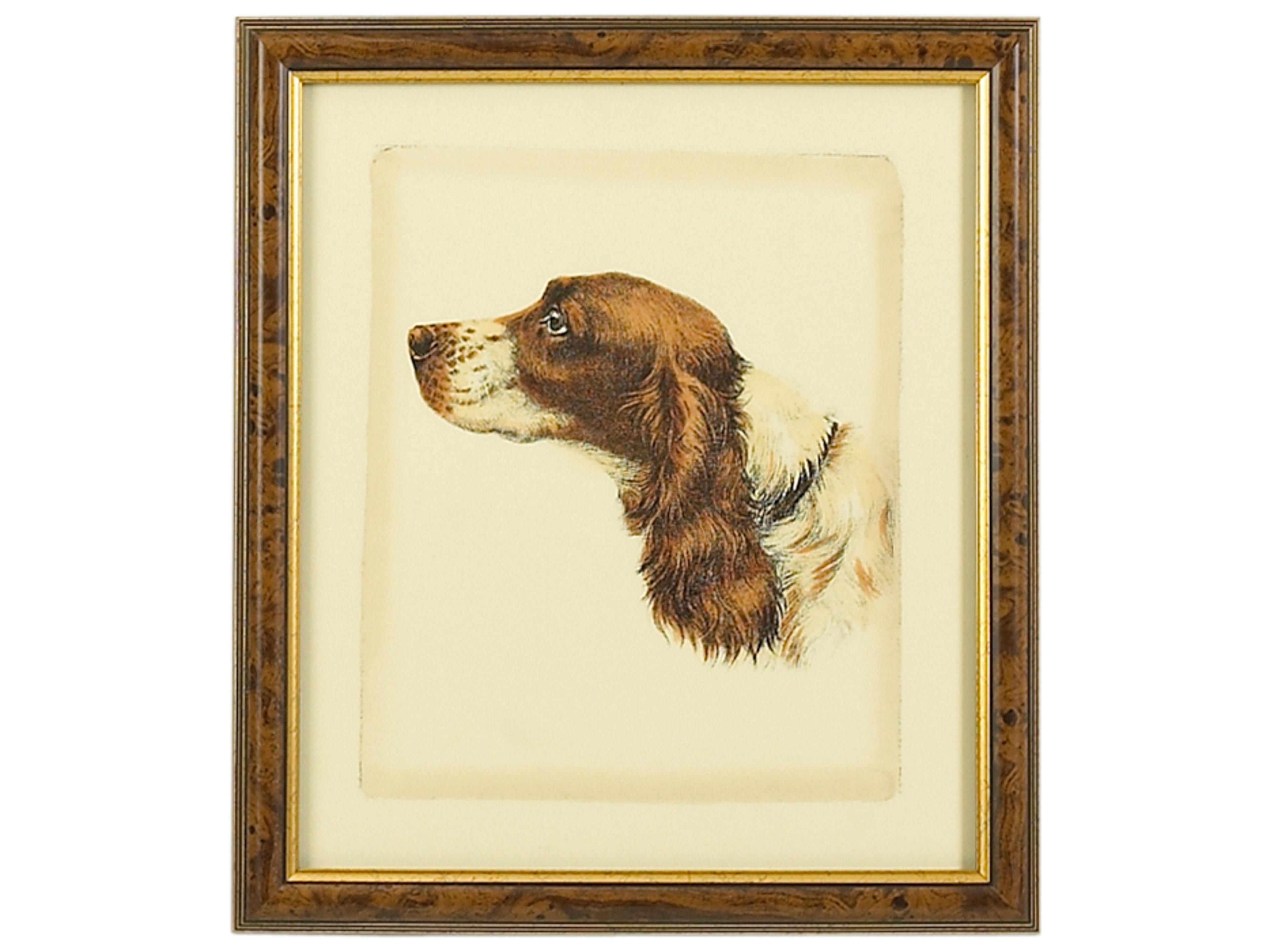 Chelsea House Danchin Brittany Spaniel Wall Art