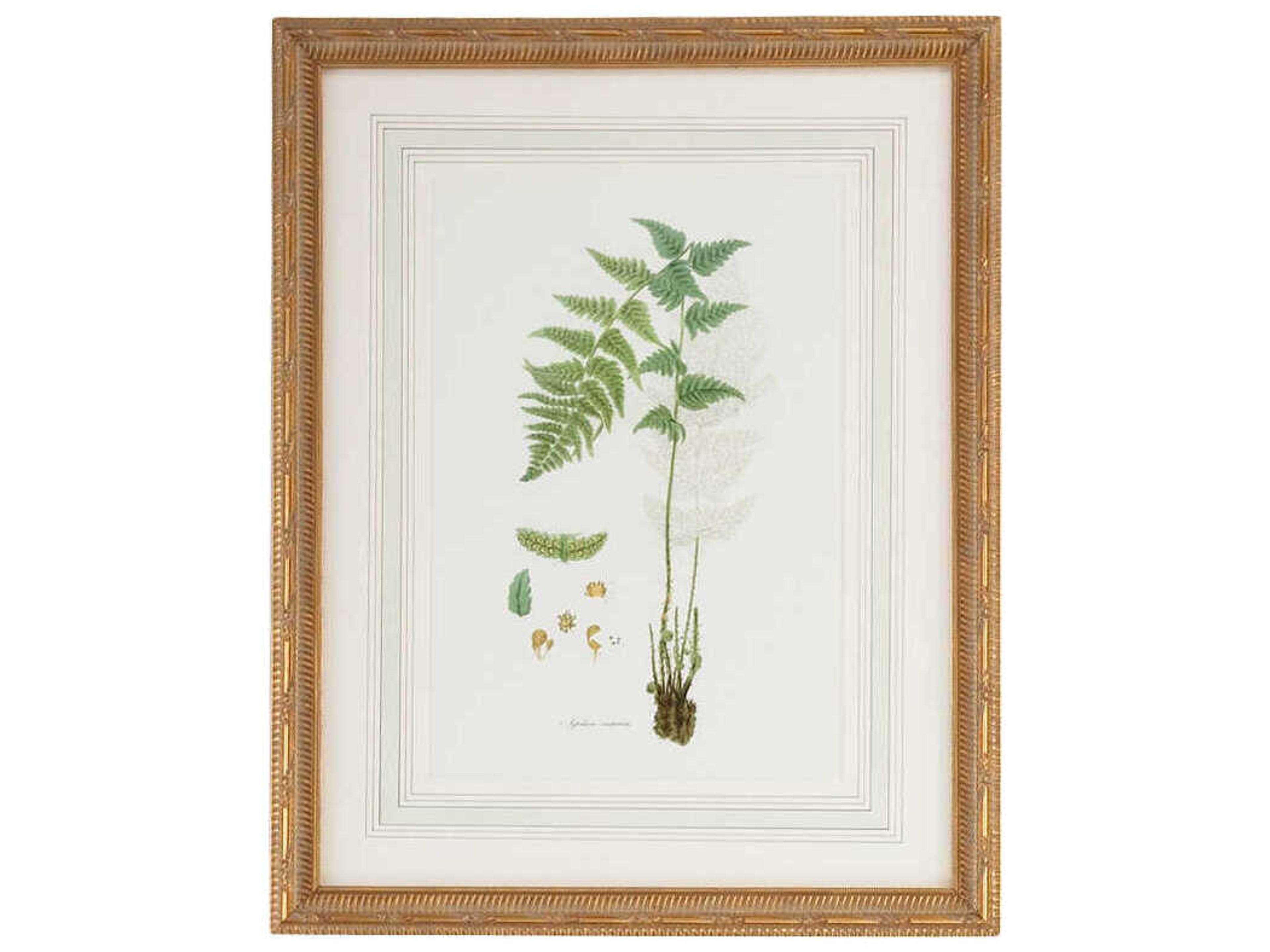 Chelsea House Curtis Ferns-I Wall Art