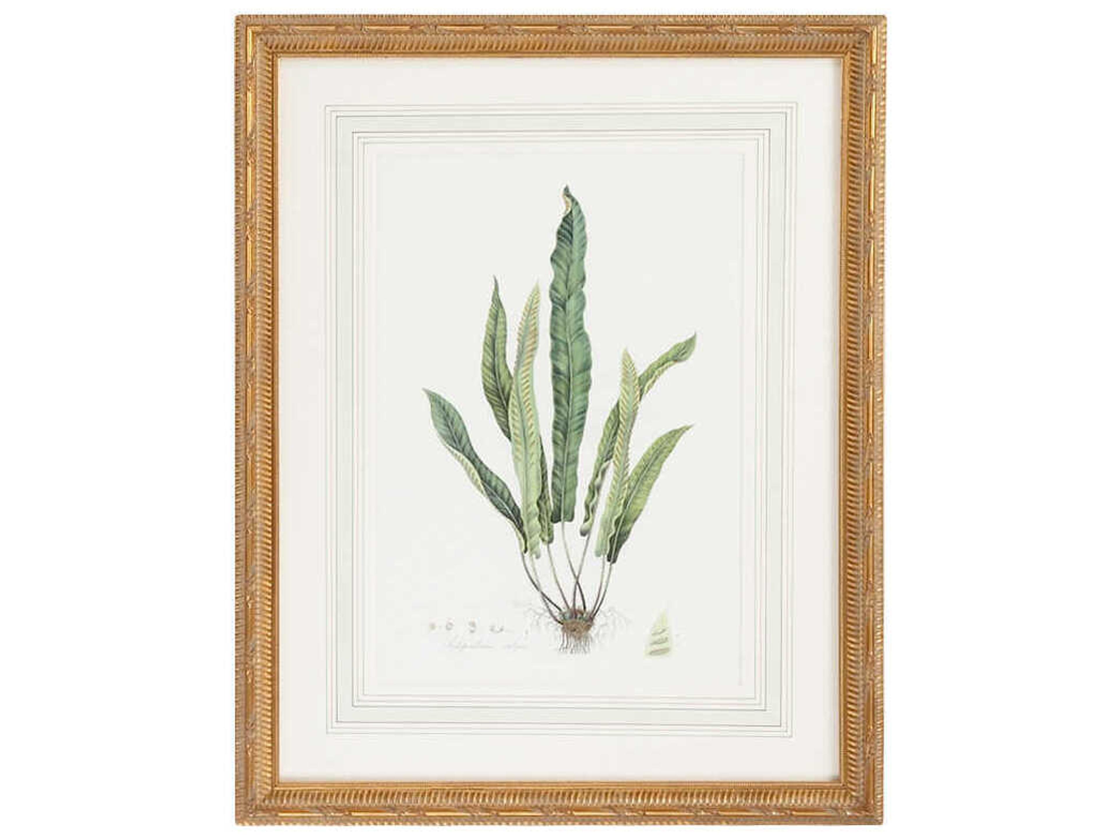 Chelsea House Curtis Ferns-IV Wall Art