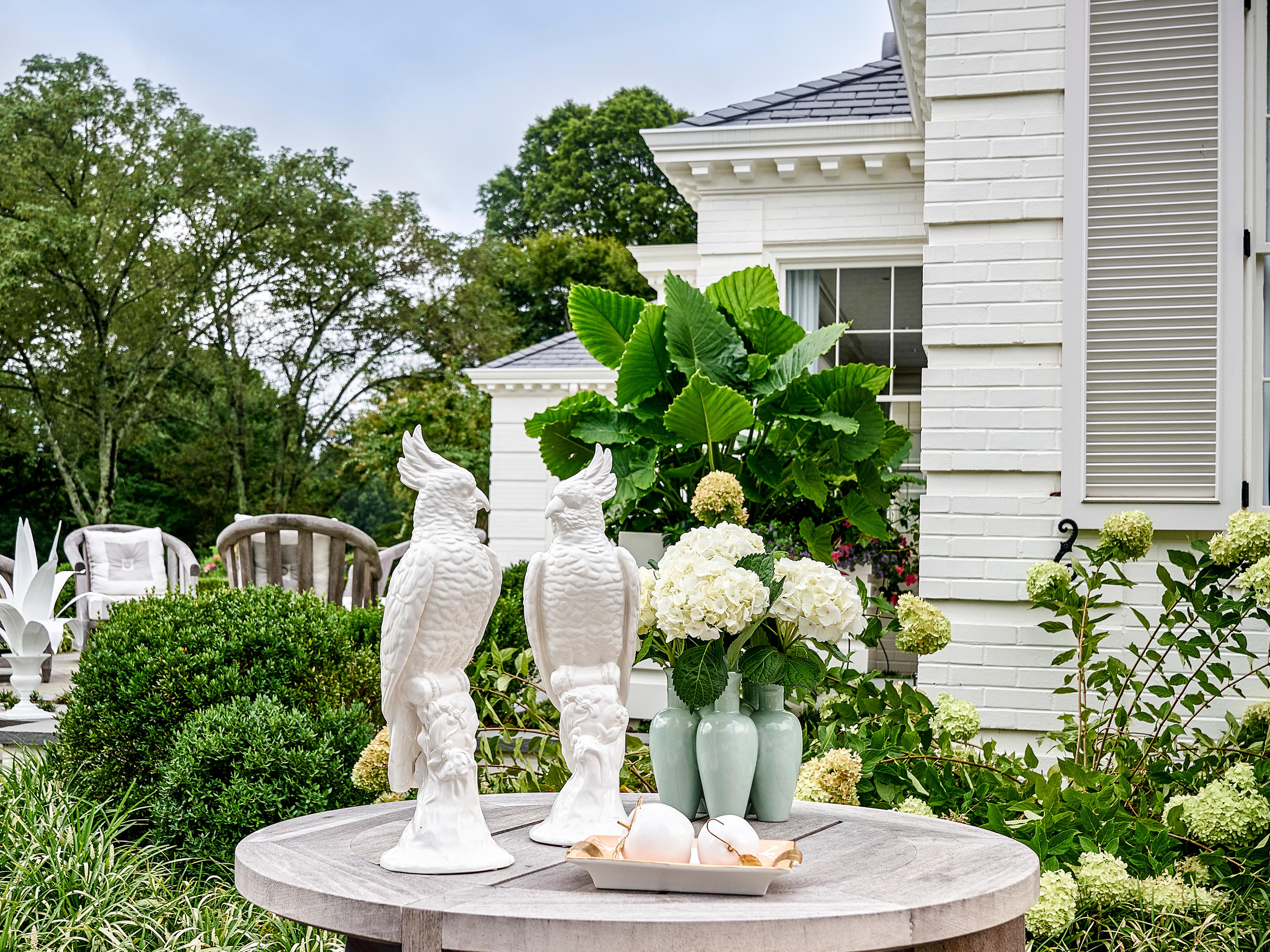 Chelsea House Cockatoos