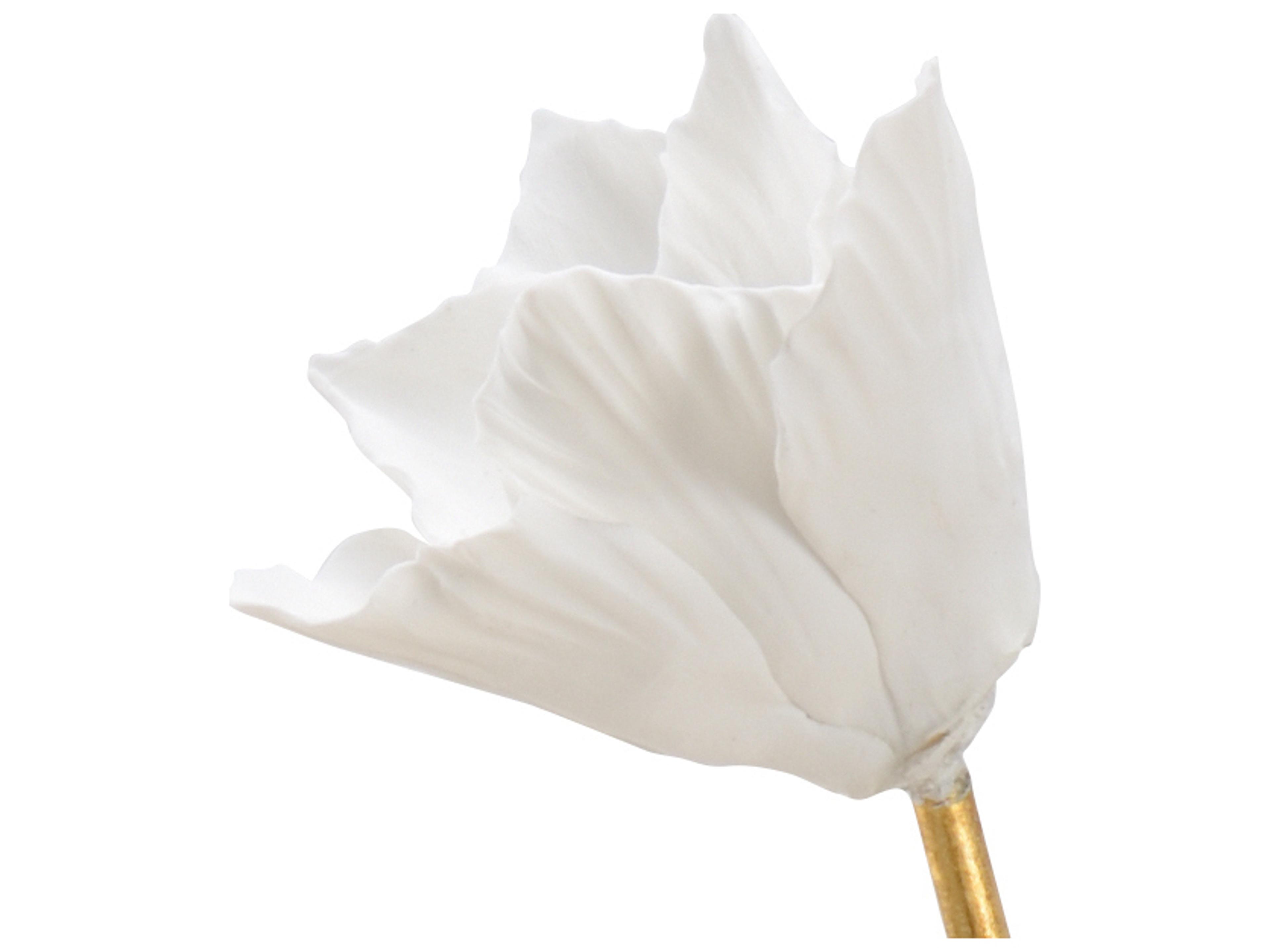 Chelsea House Tulip Stem