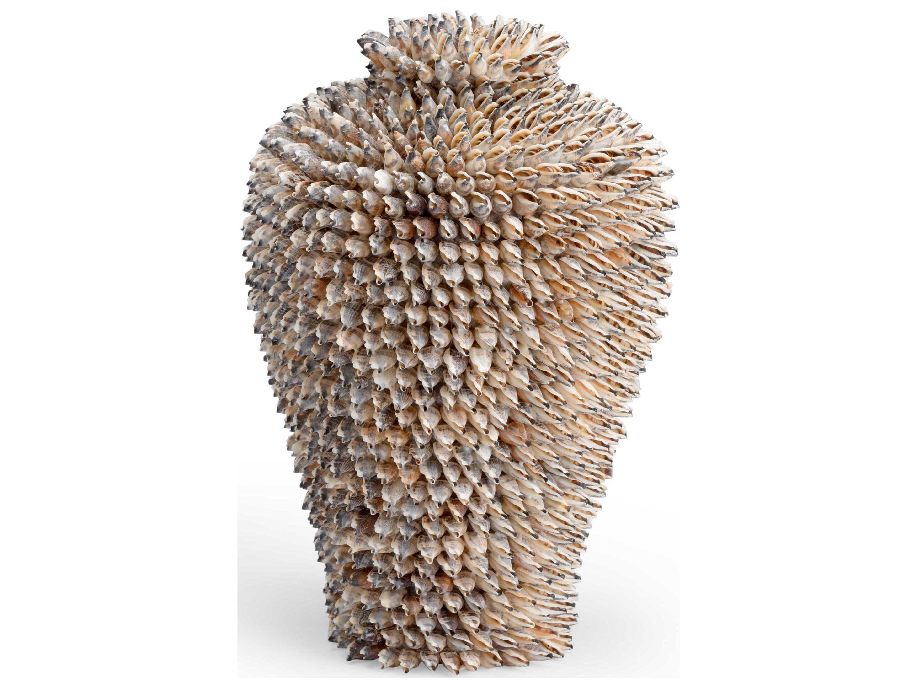 Chelsea House Strombus Shell Vase