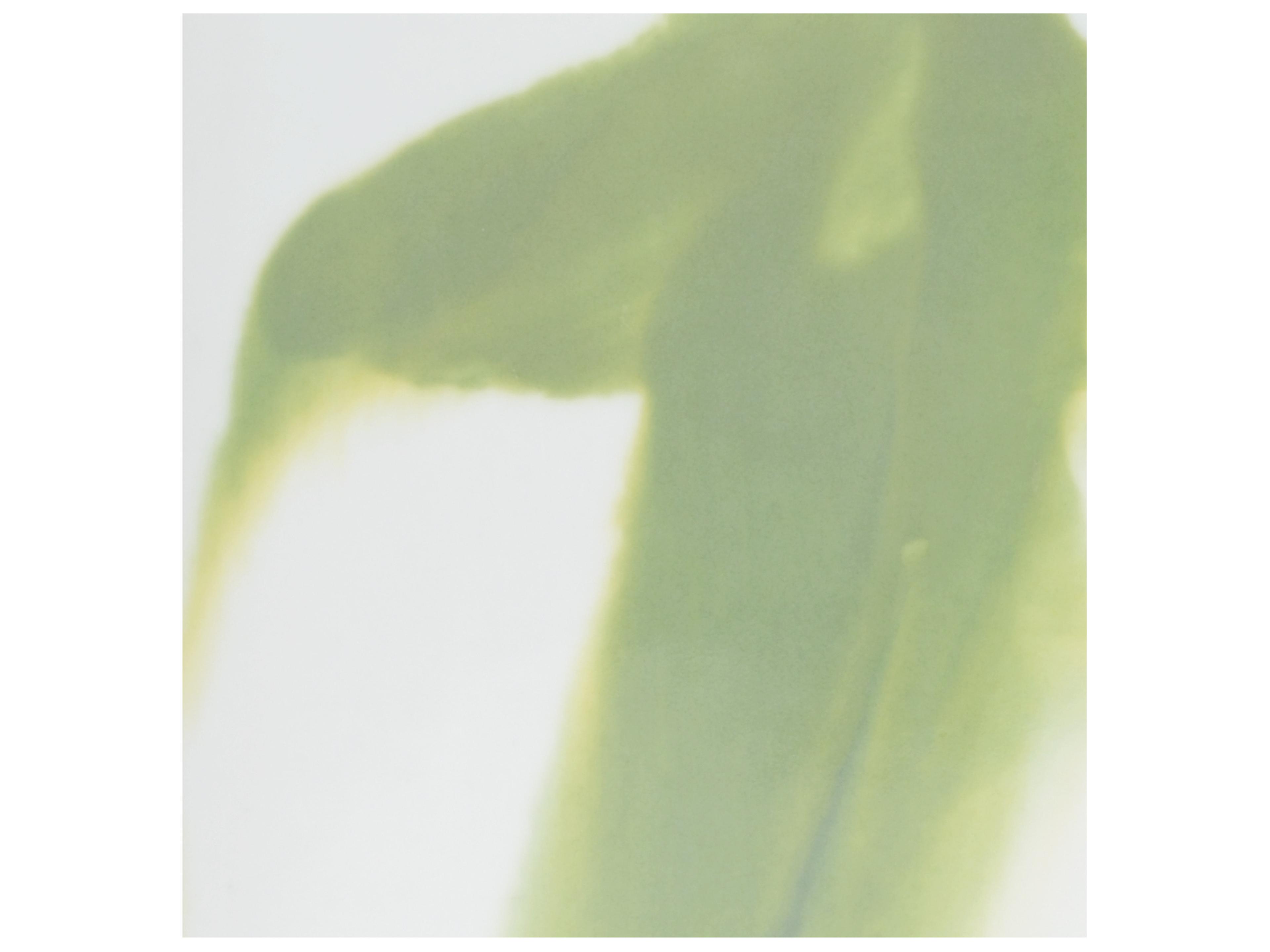 Chelsea House Green Jizhou Vase