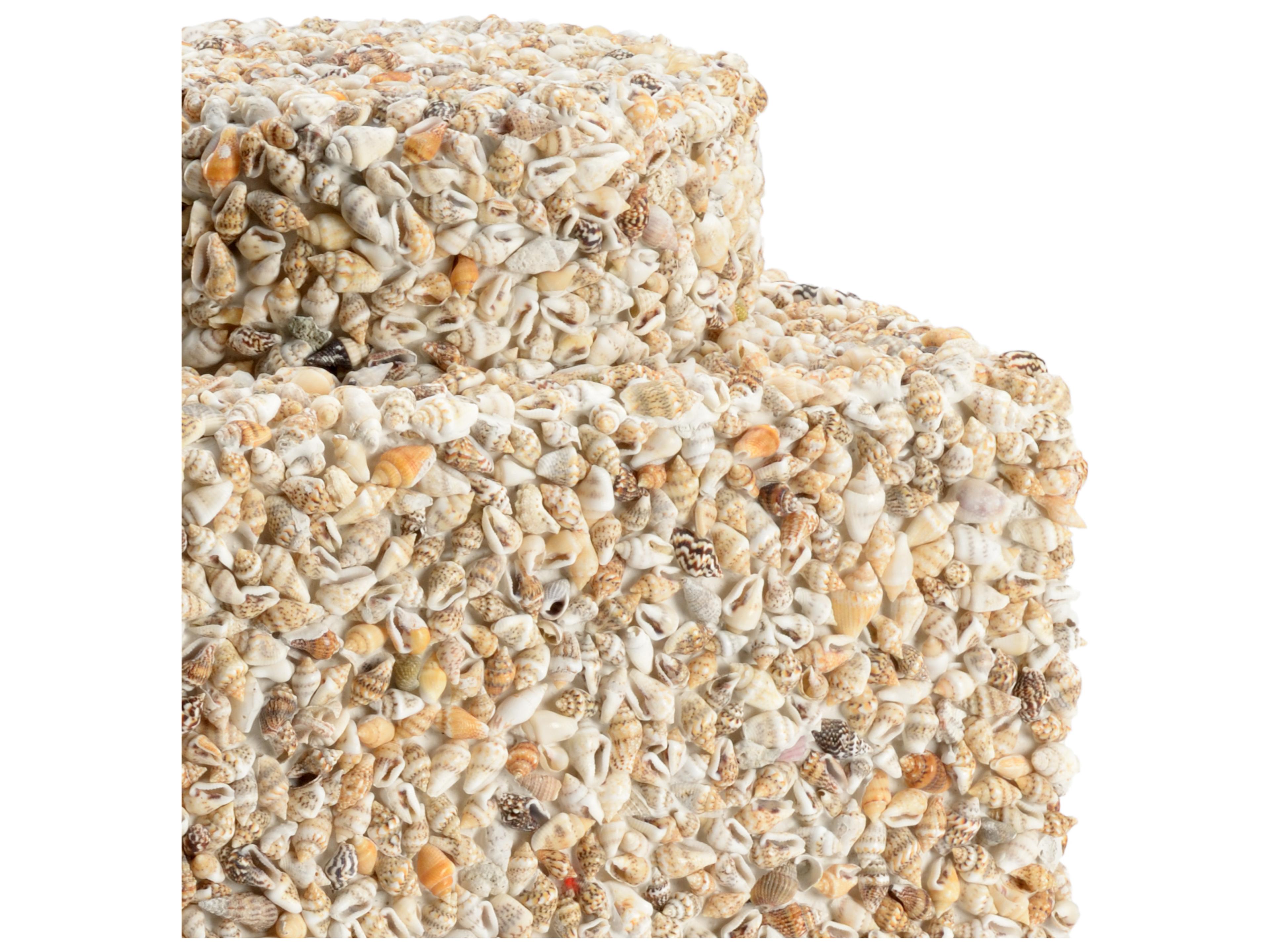 Chelsea House Tea Caddy - Shells