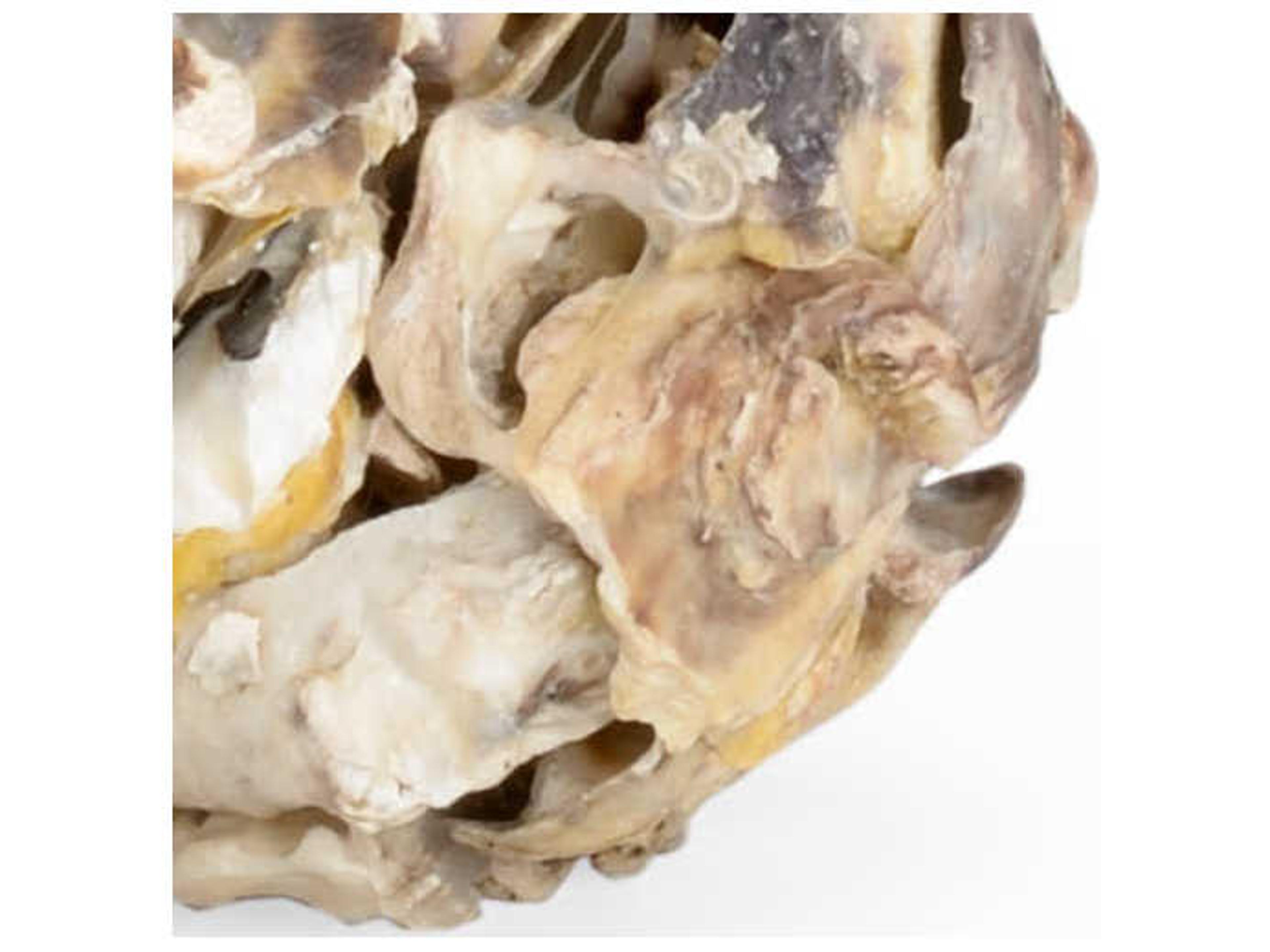 Chelsea House Natural Candle Holder