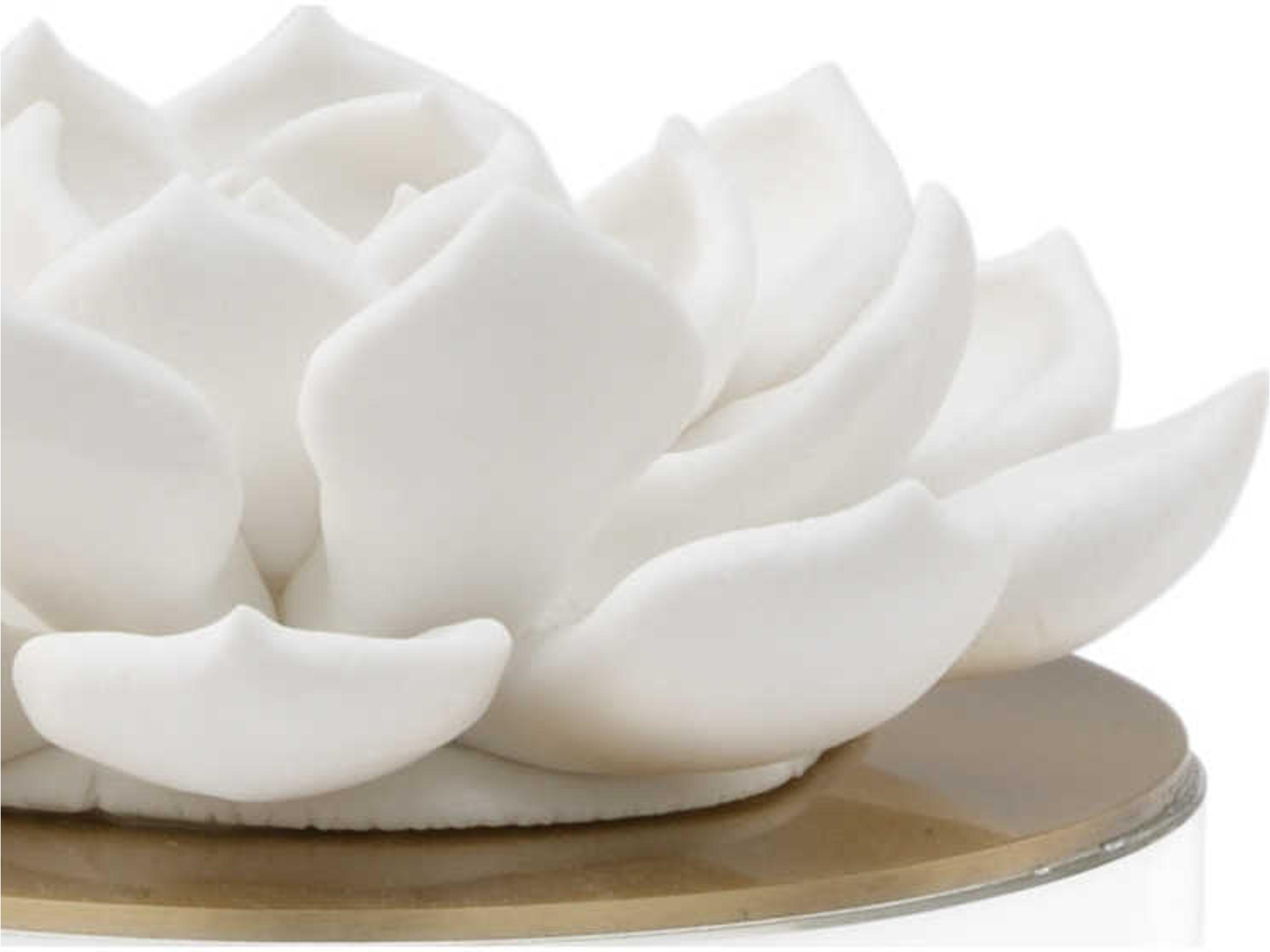 Chelsea House Matte White Antique Brass Clear Decorative Accent