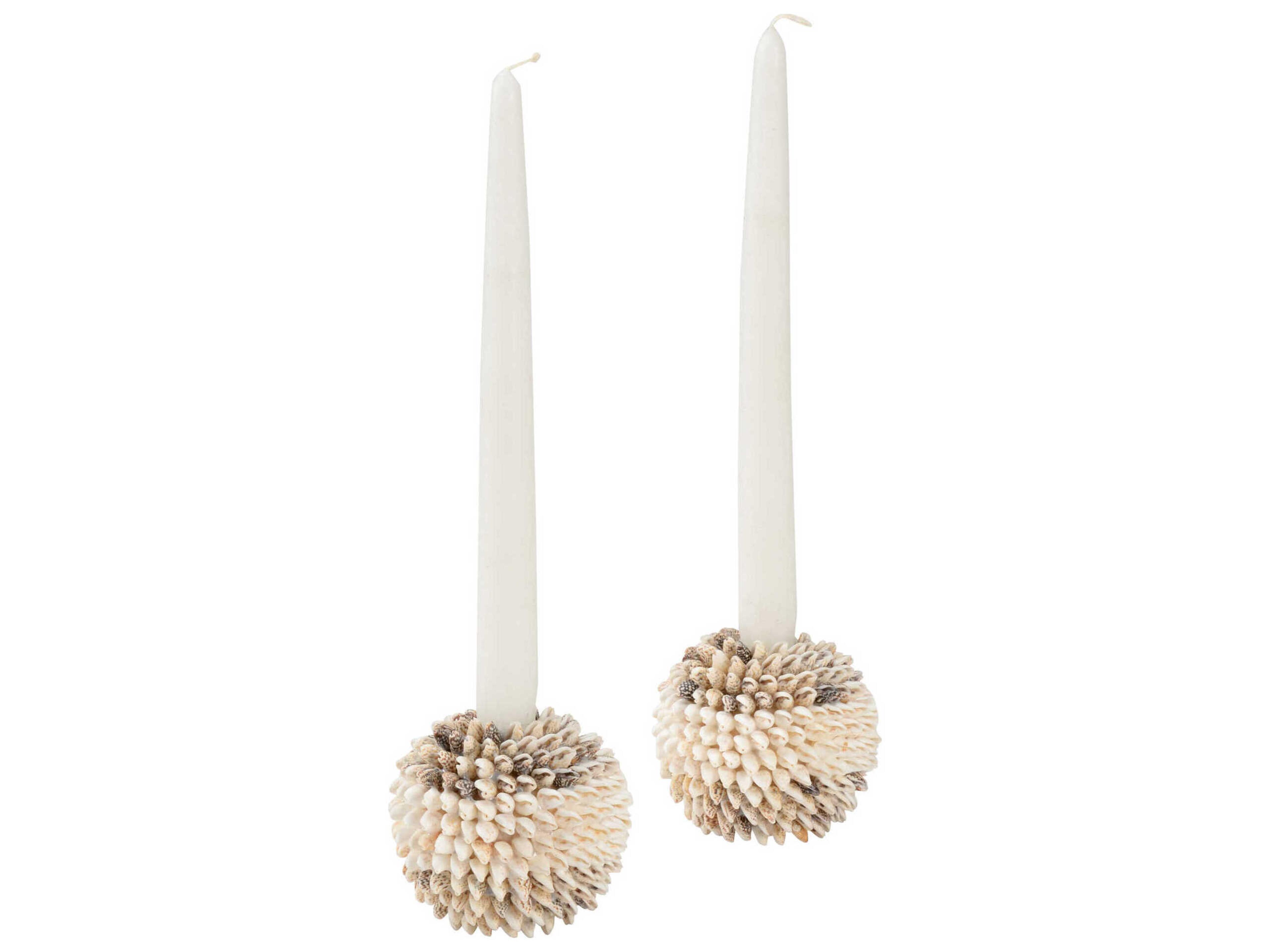 Chelsea House Nassa Shell Candleholder