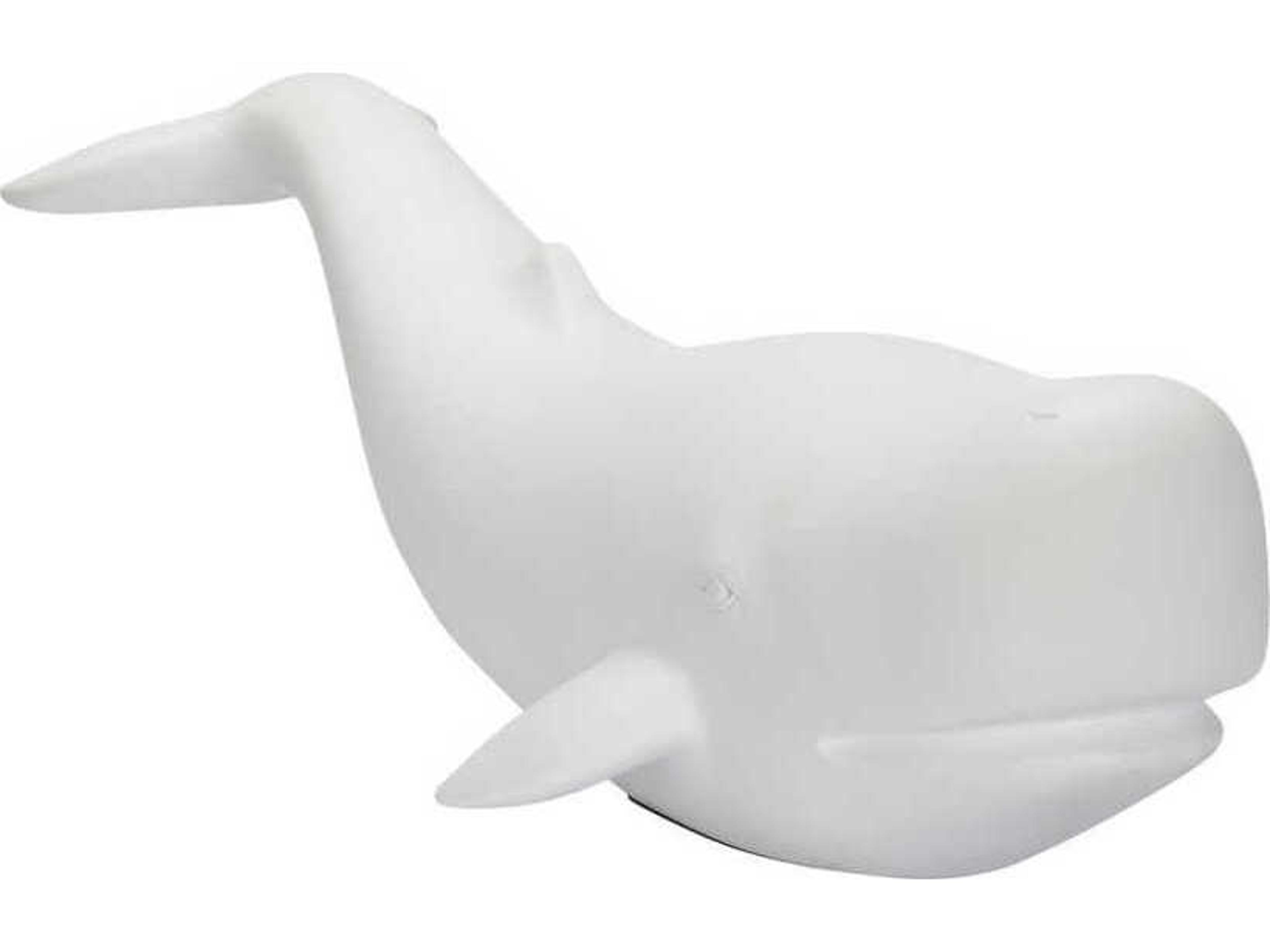 Chelsea House Matte White Whale