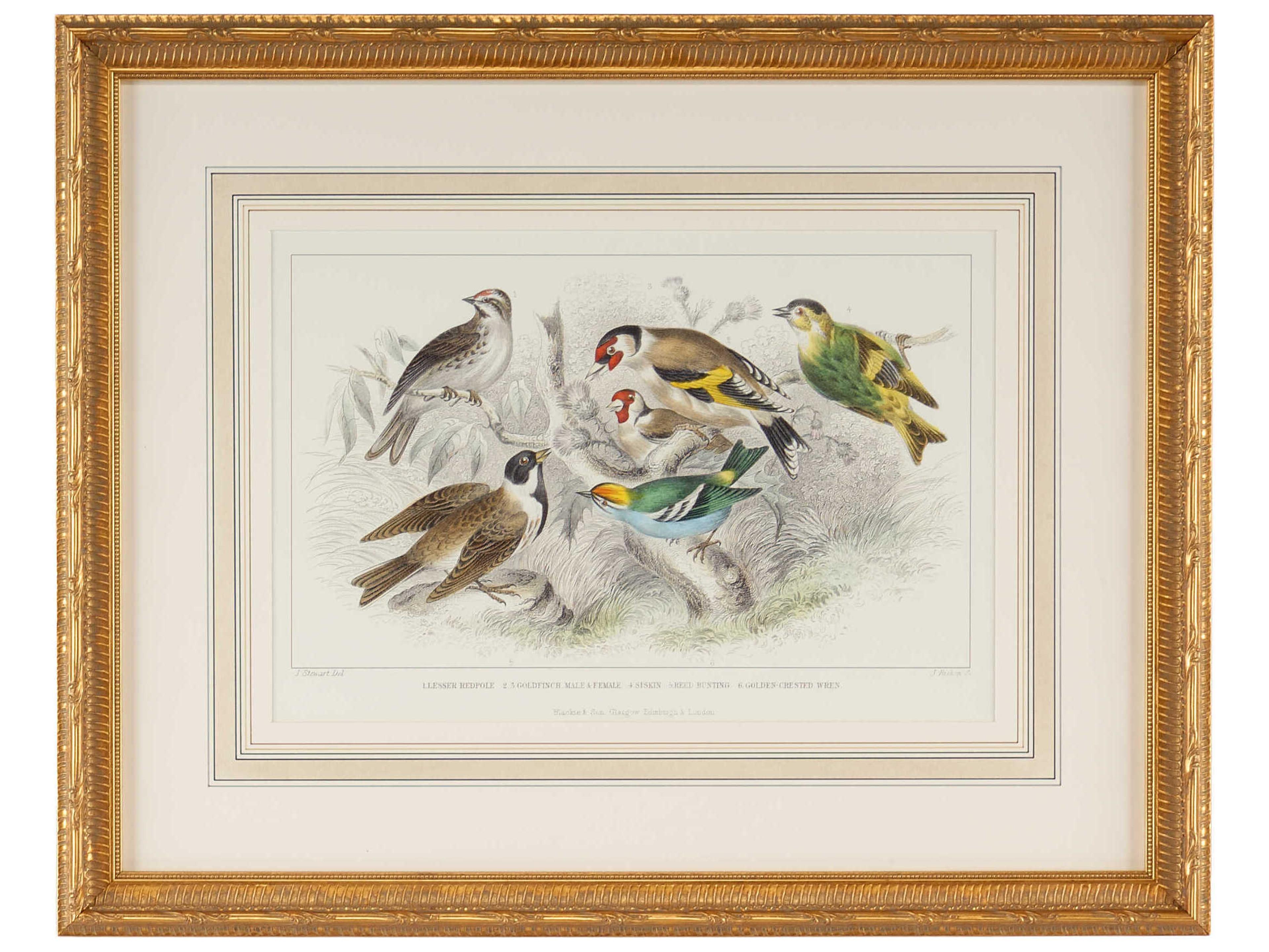 Chelsea House Gold Finch, Bunting & Wrens