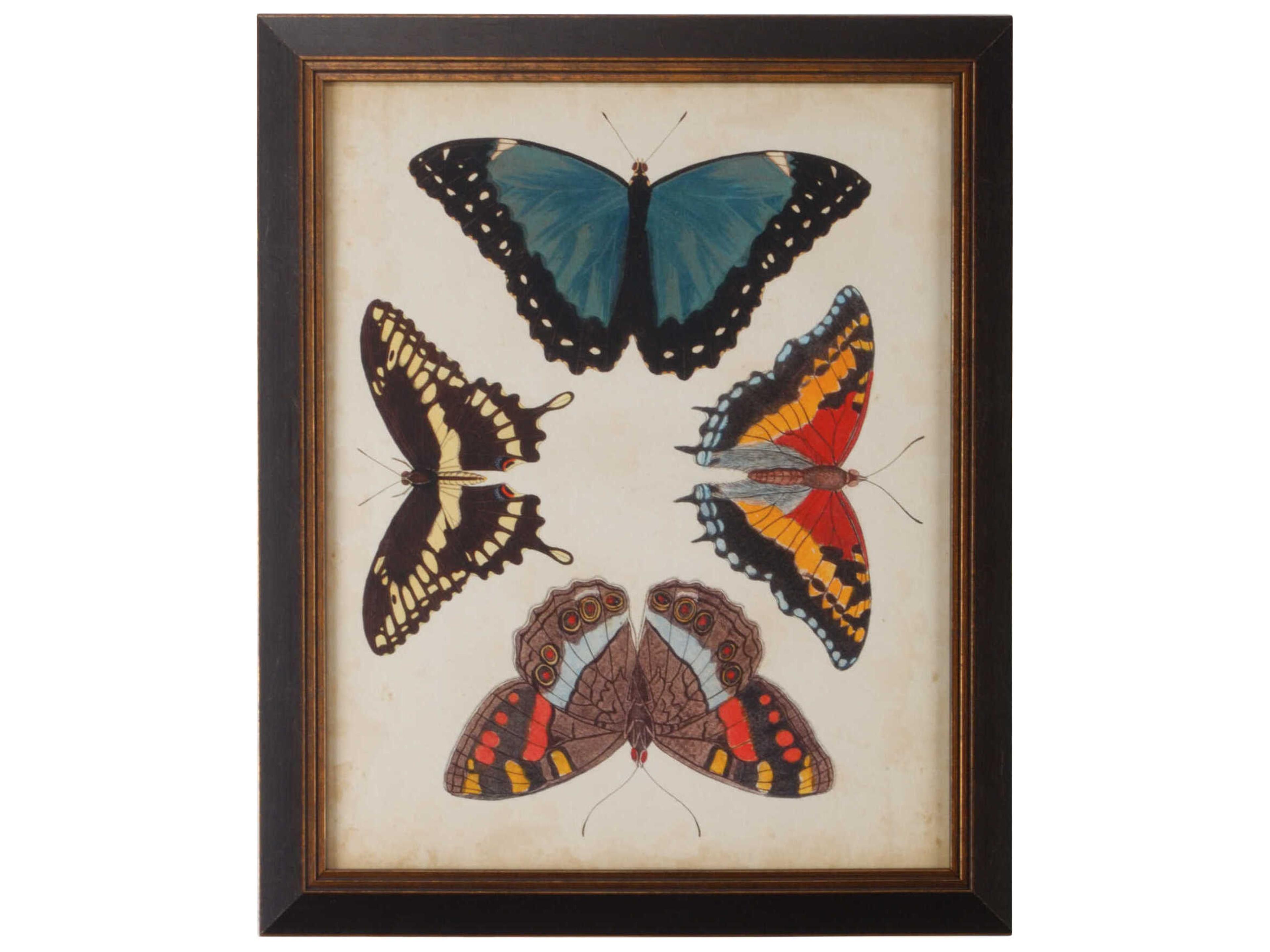 Display Of Butterflies I