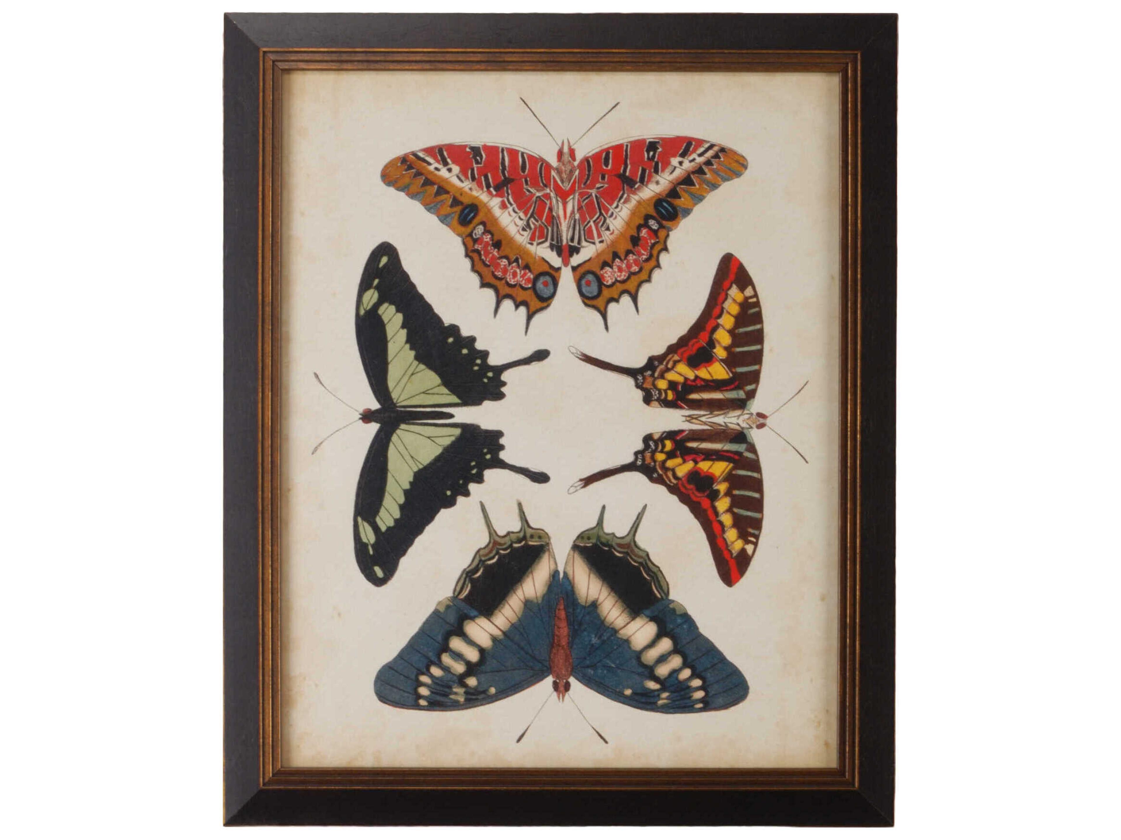 Chelsea House Display Of Butterflies II