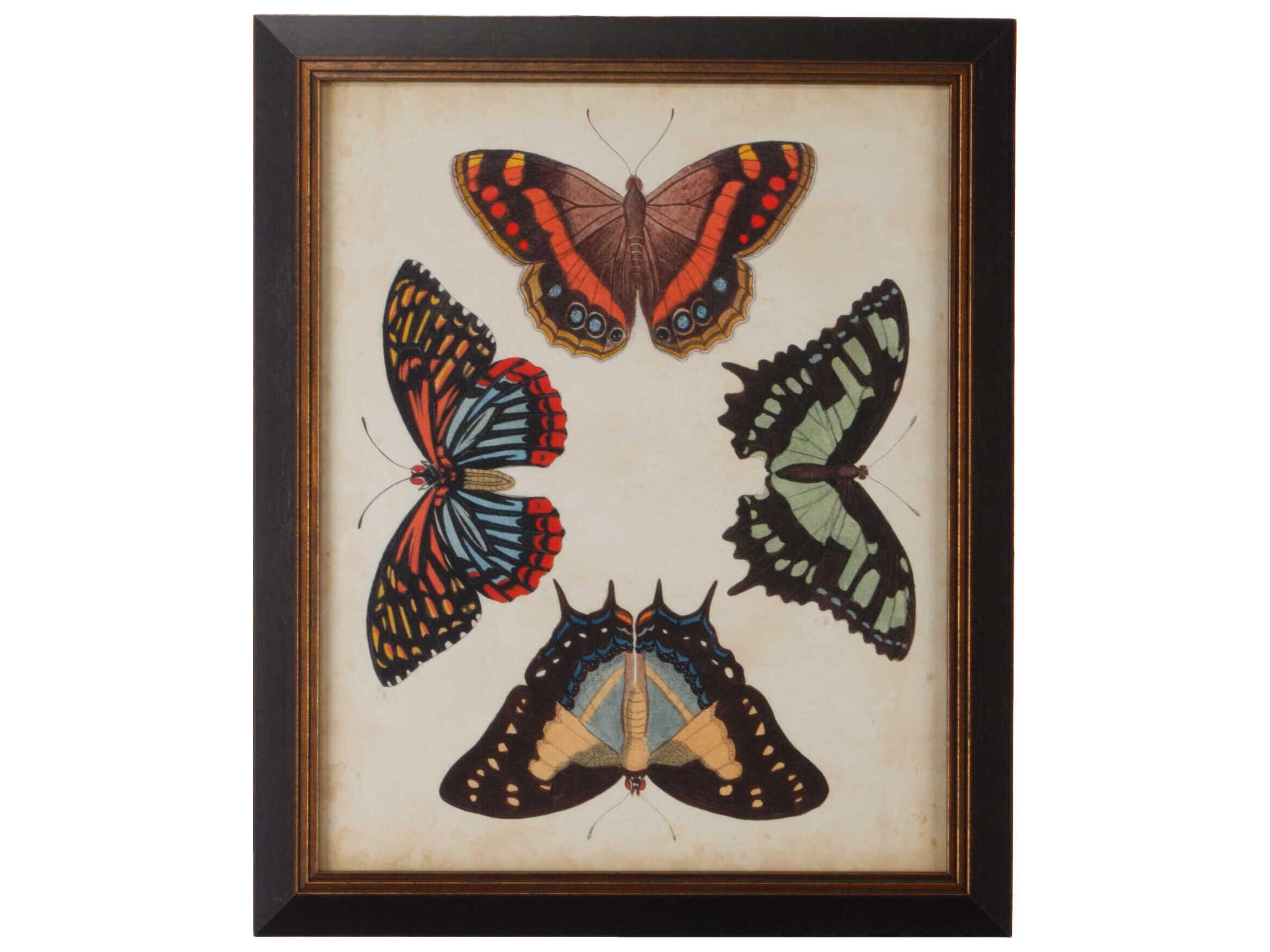 Chelsea House Display Of Butterflies IV