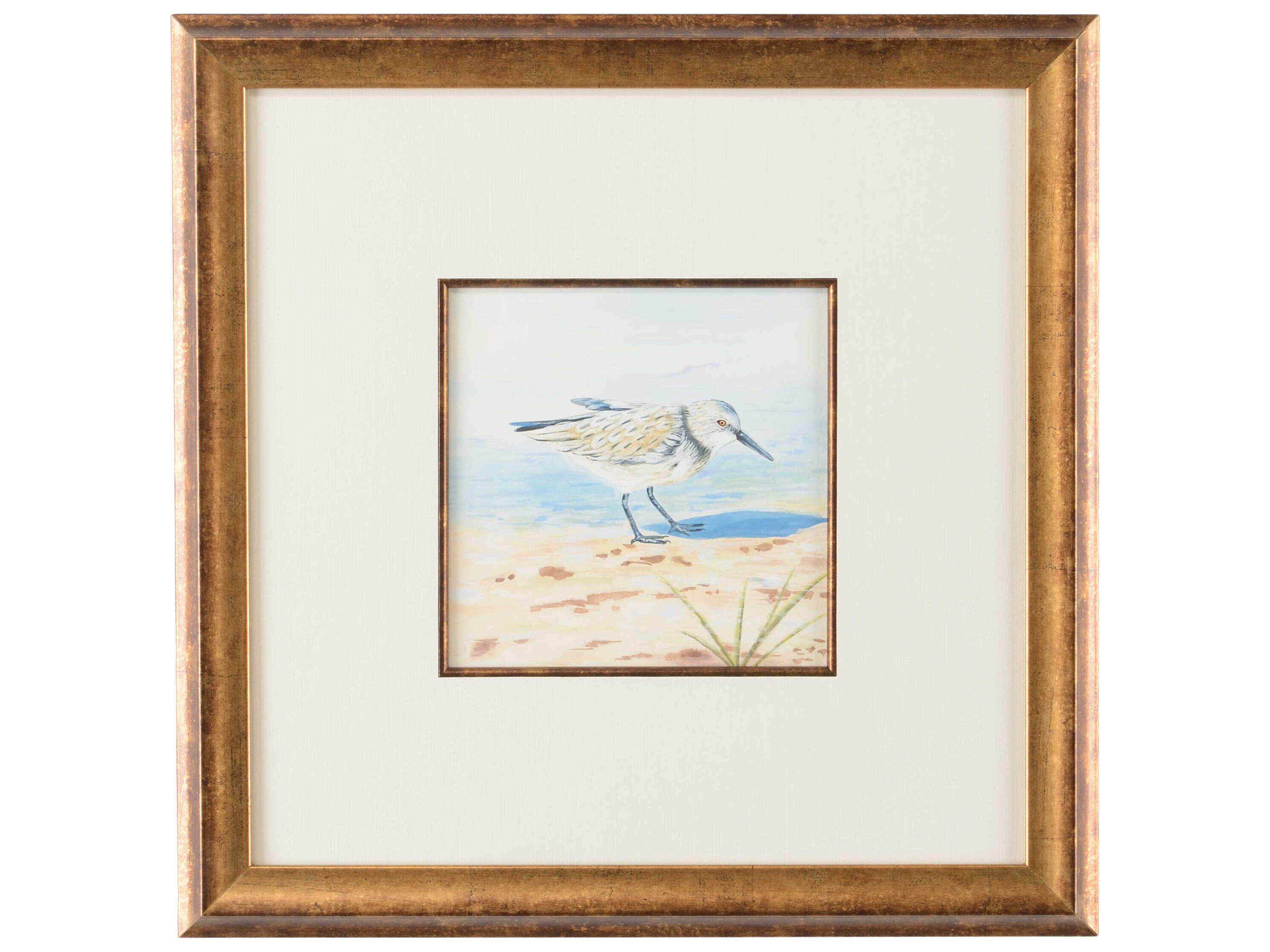 Lisa Kahn Sand Piper VI