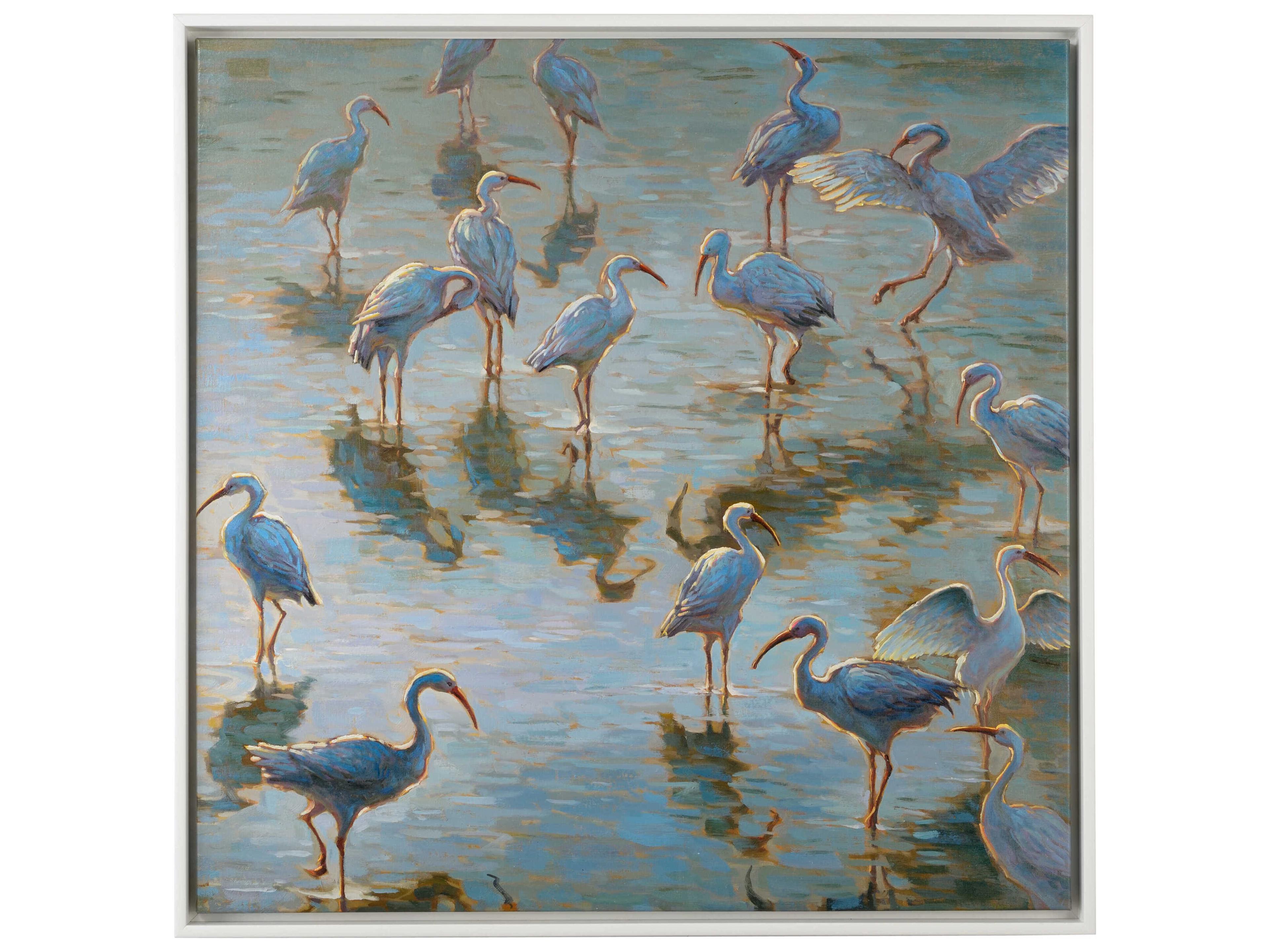 Bradshaw Orrell Shorebirds