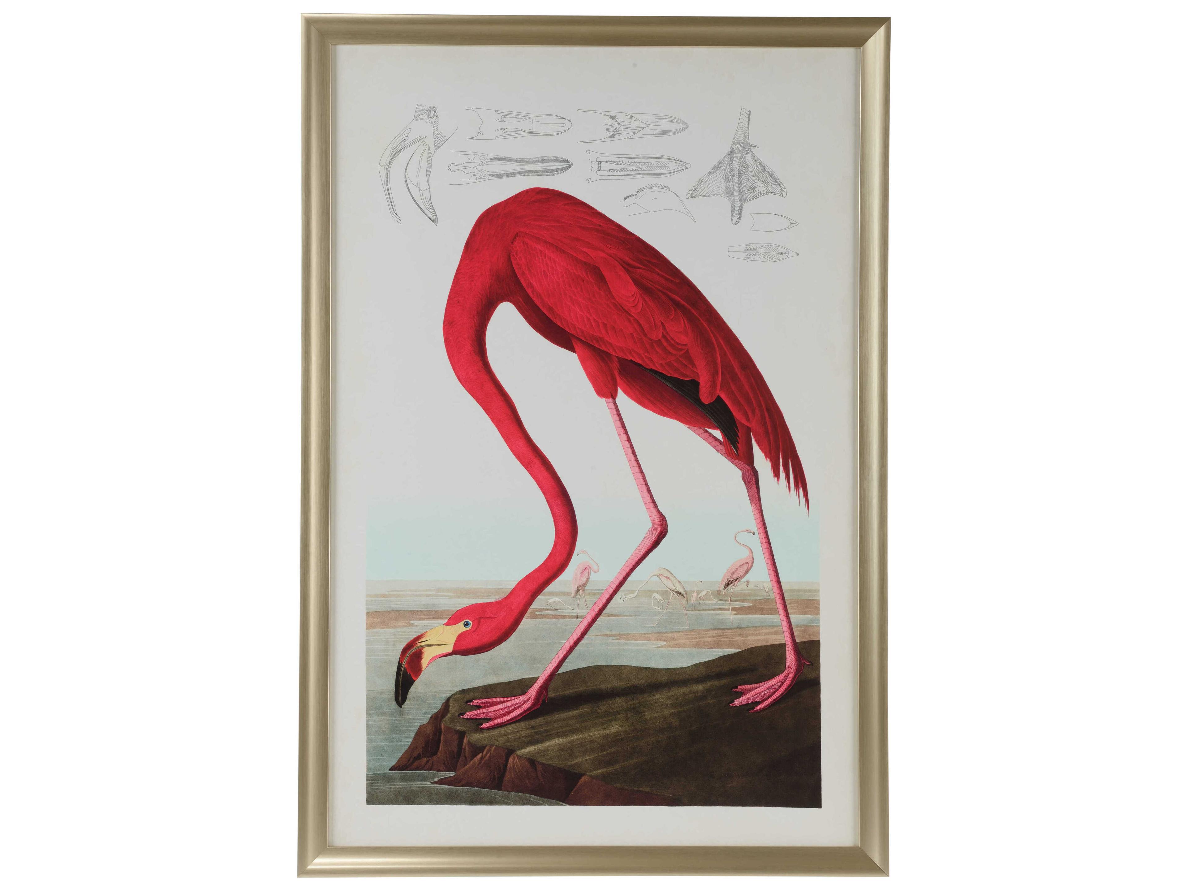 Chelsea House Jamie Merida American Flamingo