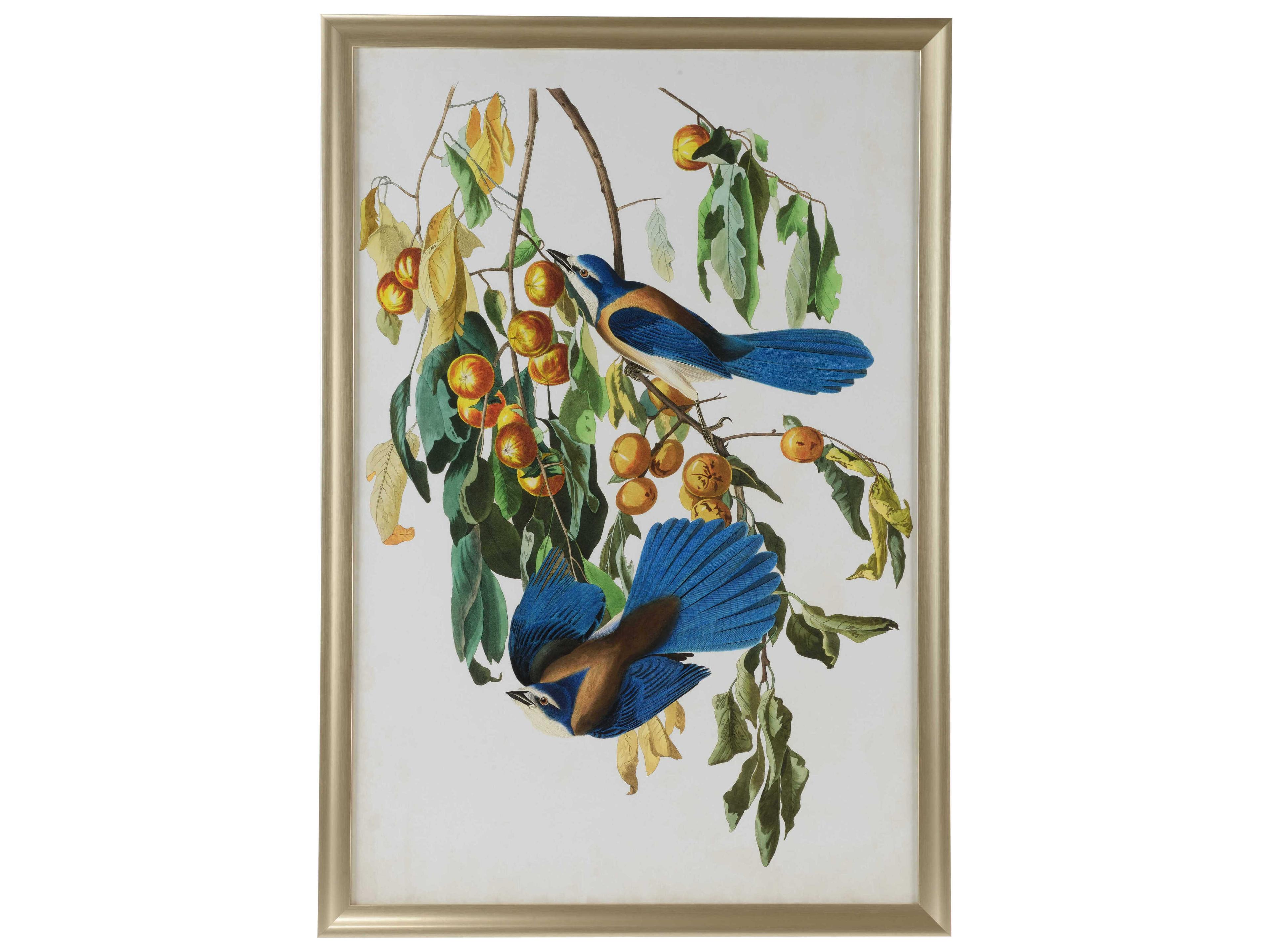 Chelsea House Jamie Merida Audubon Blue Jay II