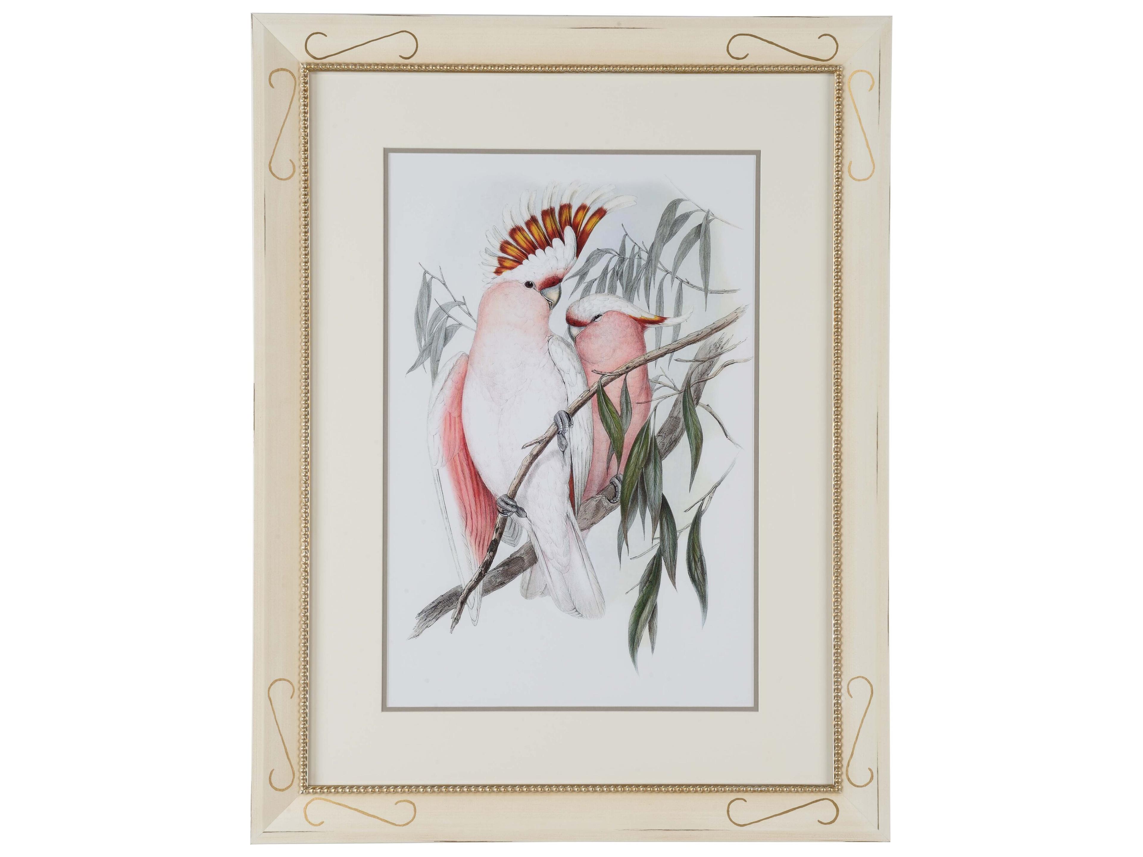 Misc Pastel Parrots I Wall Art