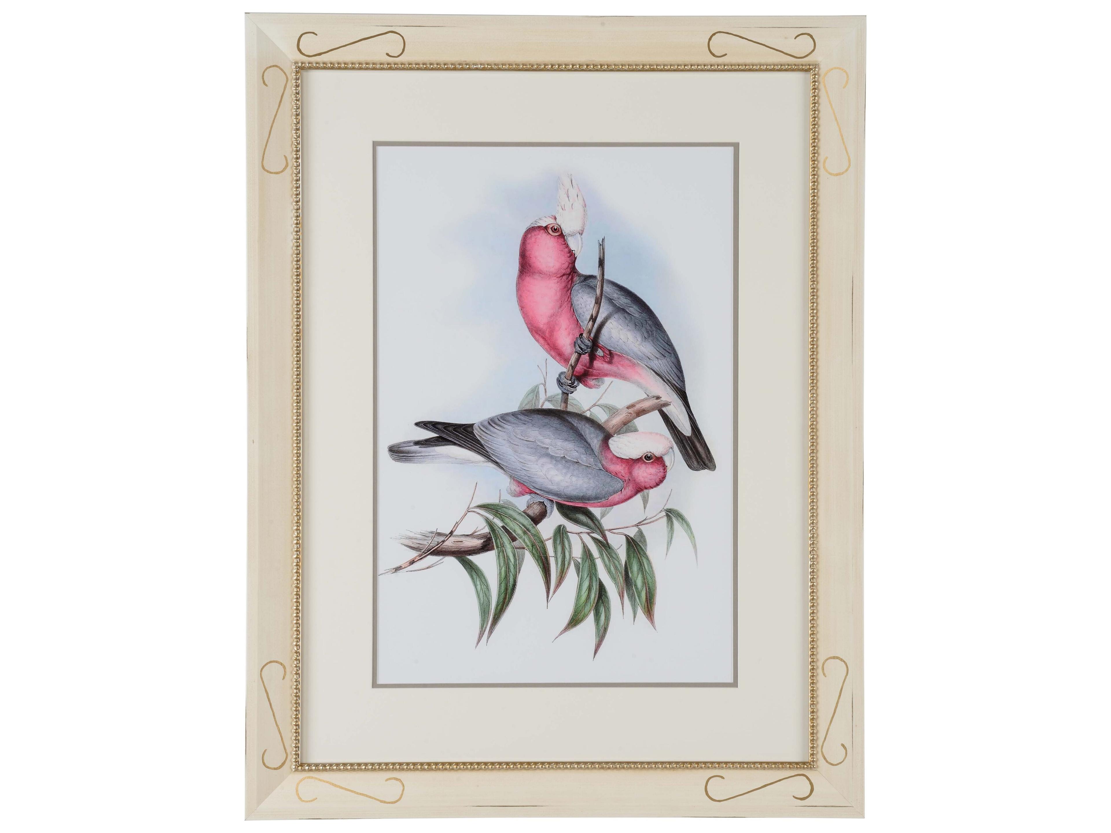 Misc Pastel Parrots II Wall Art