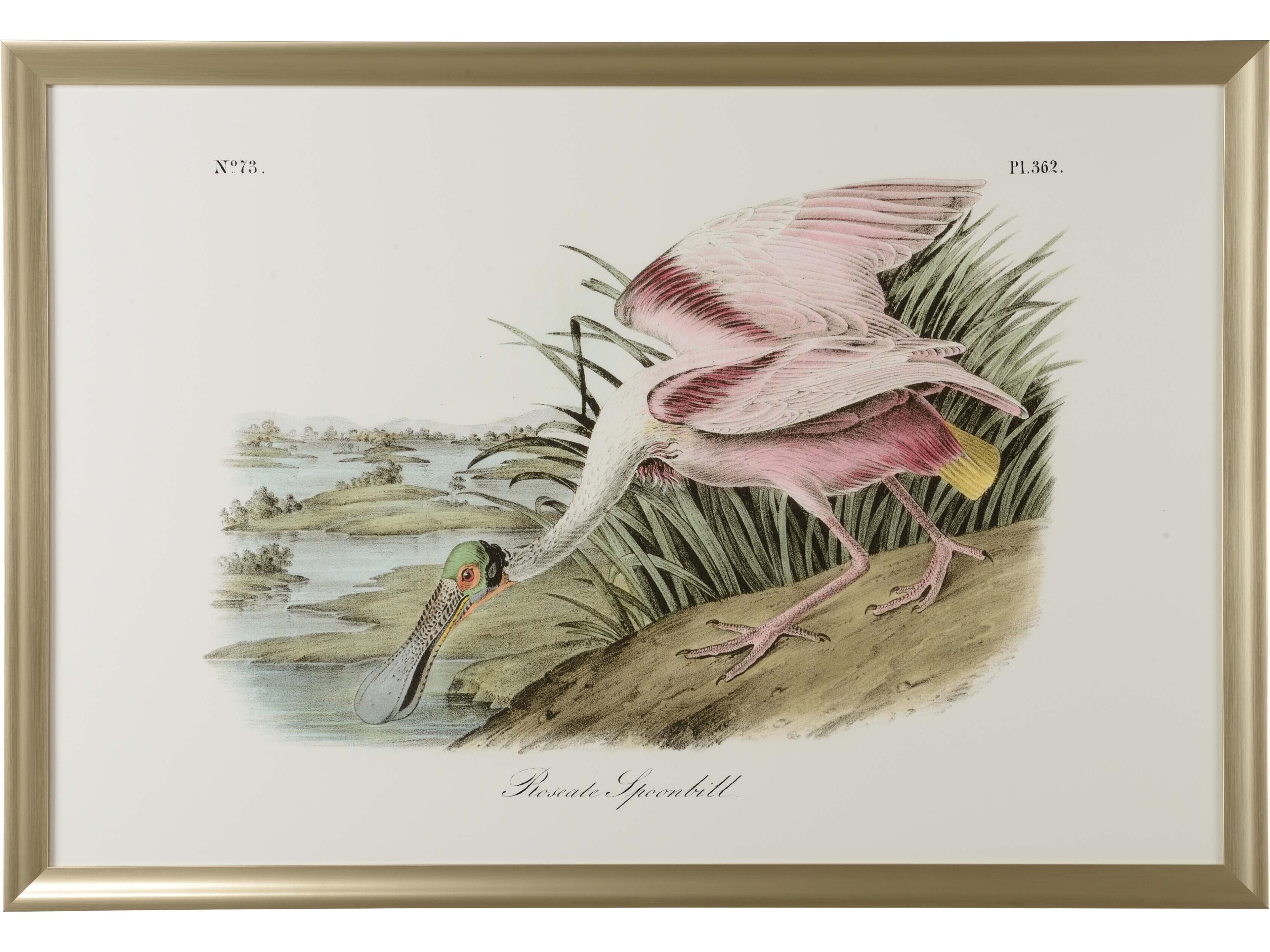 Misc Roseate Spoonbill Wall Art