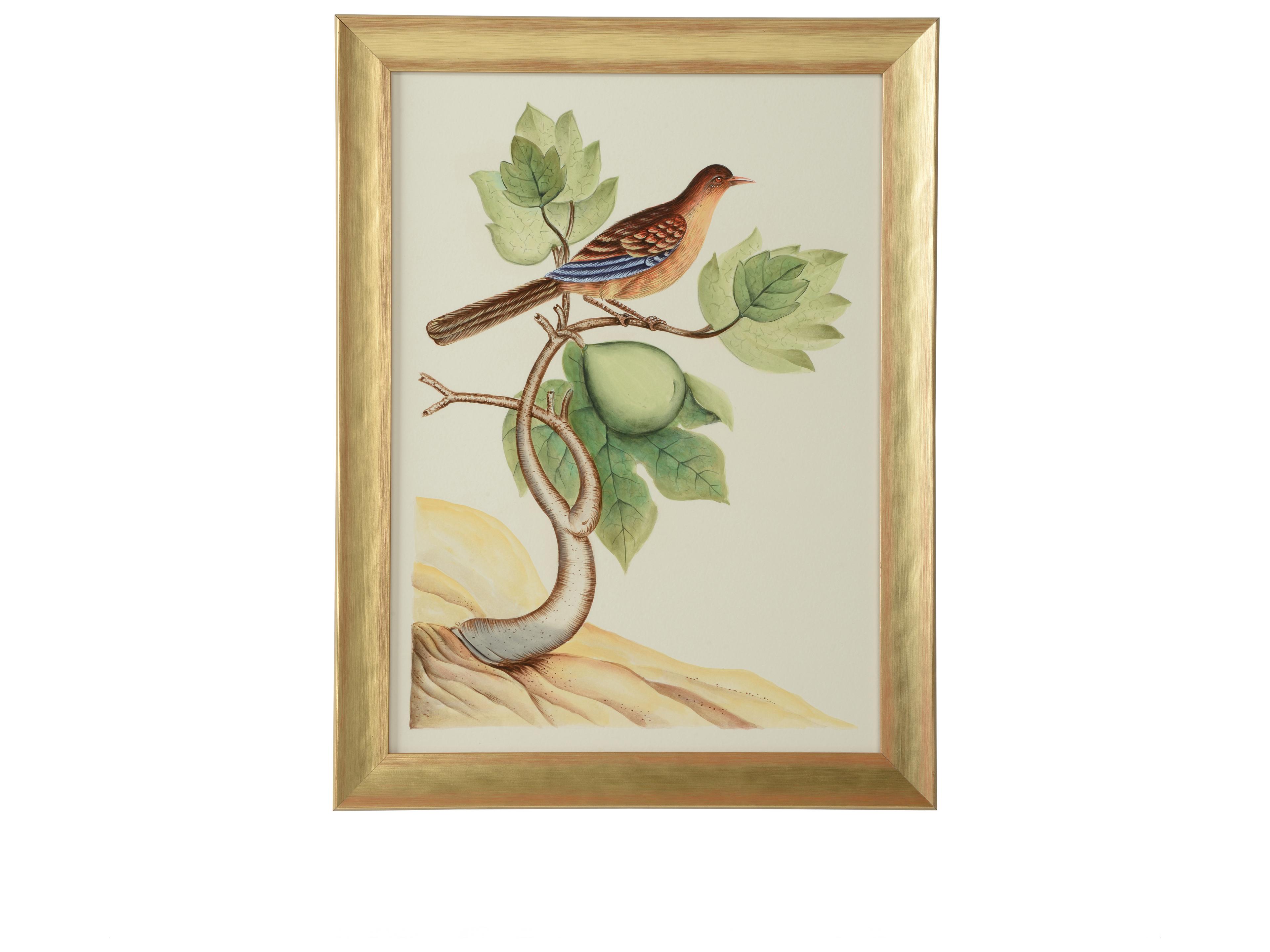 Chelsea House Bill Cain Watercolor Birds A Wall Art