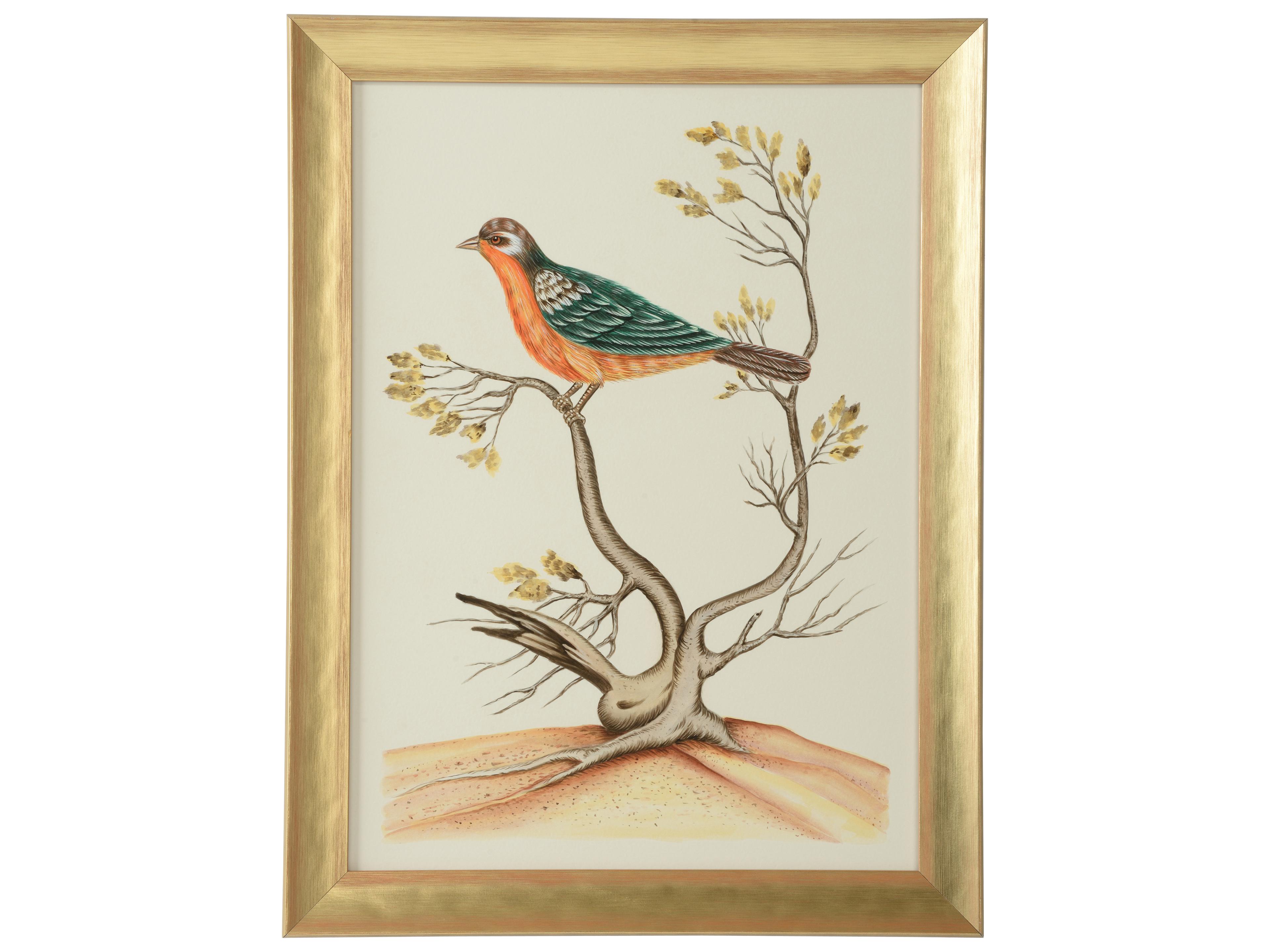 Bill Cain Watercolor Birds B Wall Art