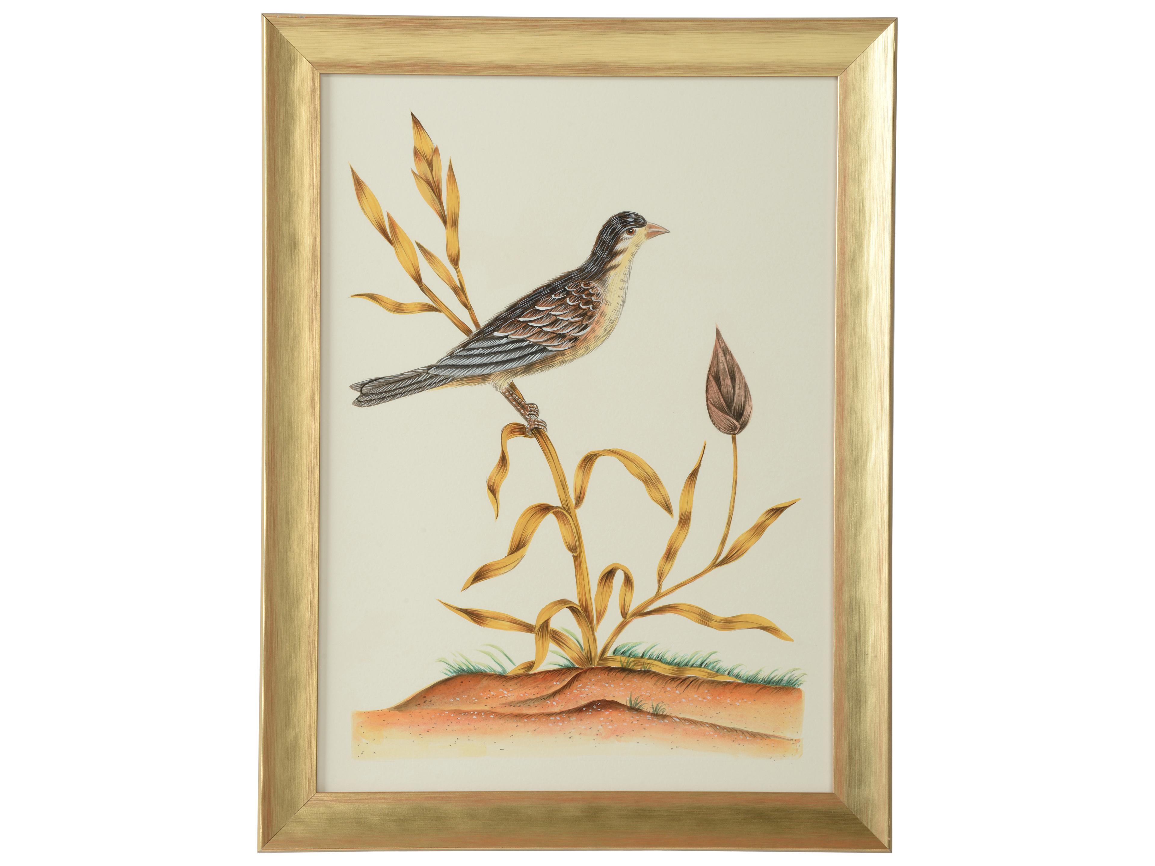 Bill Cain Watercolor Birds C Wall Art