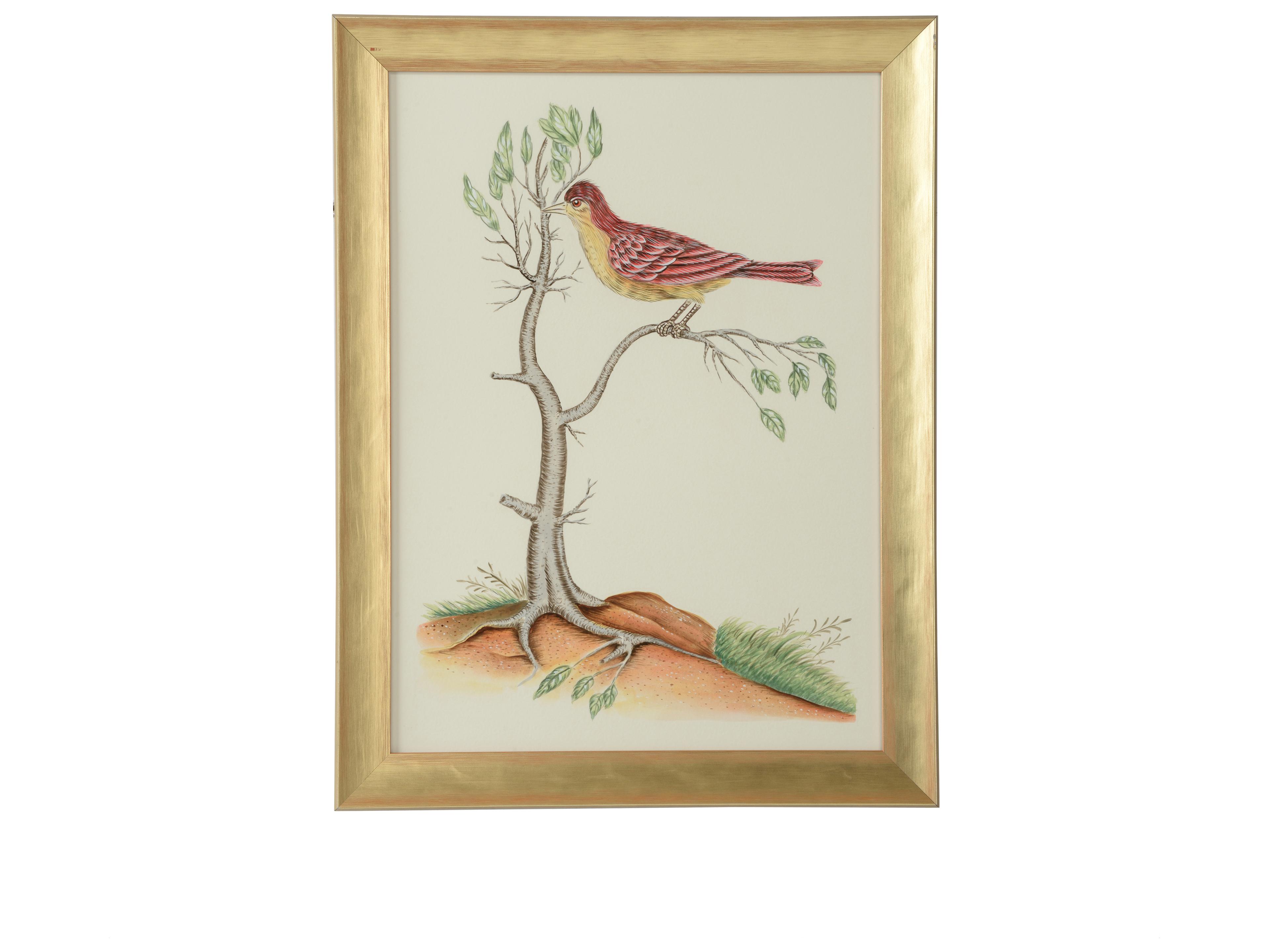 Chelsea House Bill Cain Watercolor Birds D Wall Art