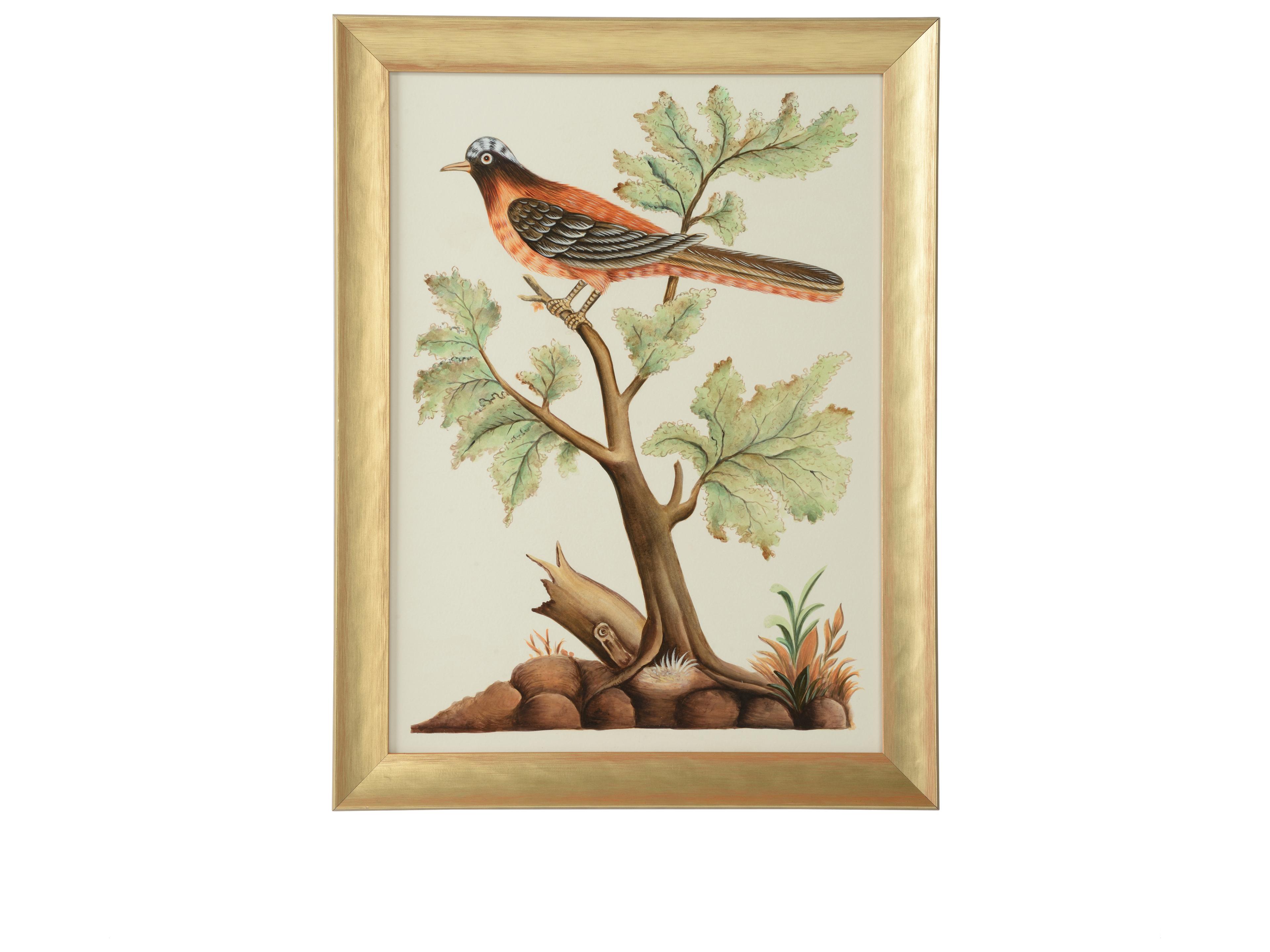 Bill Cain Watercolor Birds F Wall Art