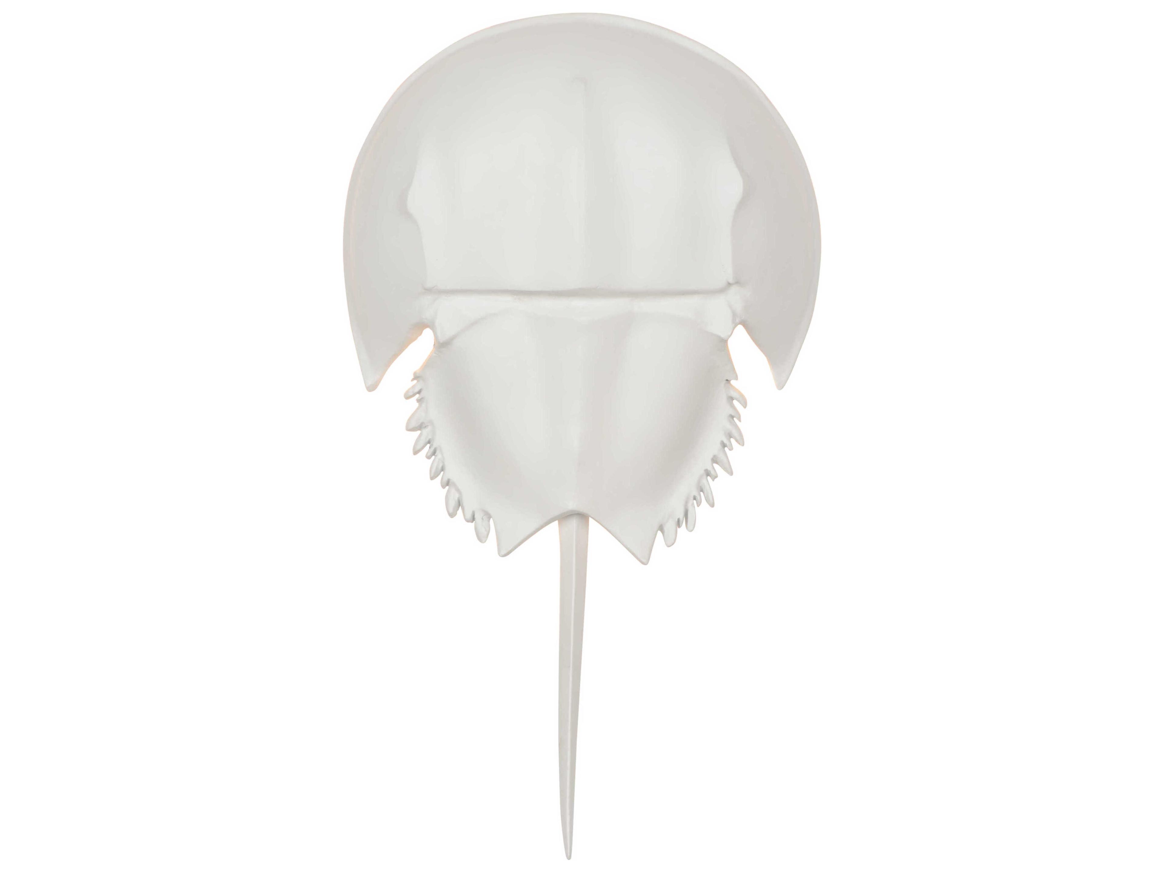 Chelsea House Horseshoe Crab 1-Light White Wall Sconce