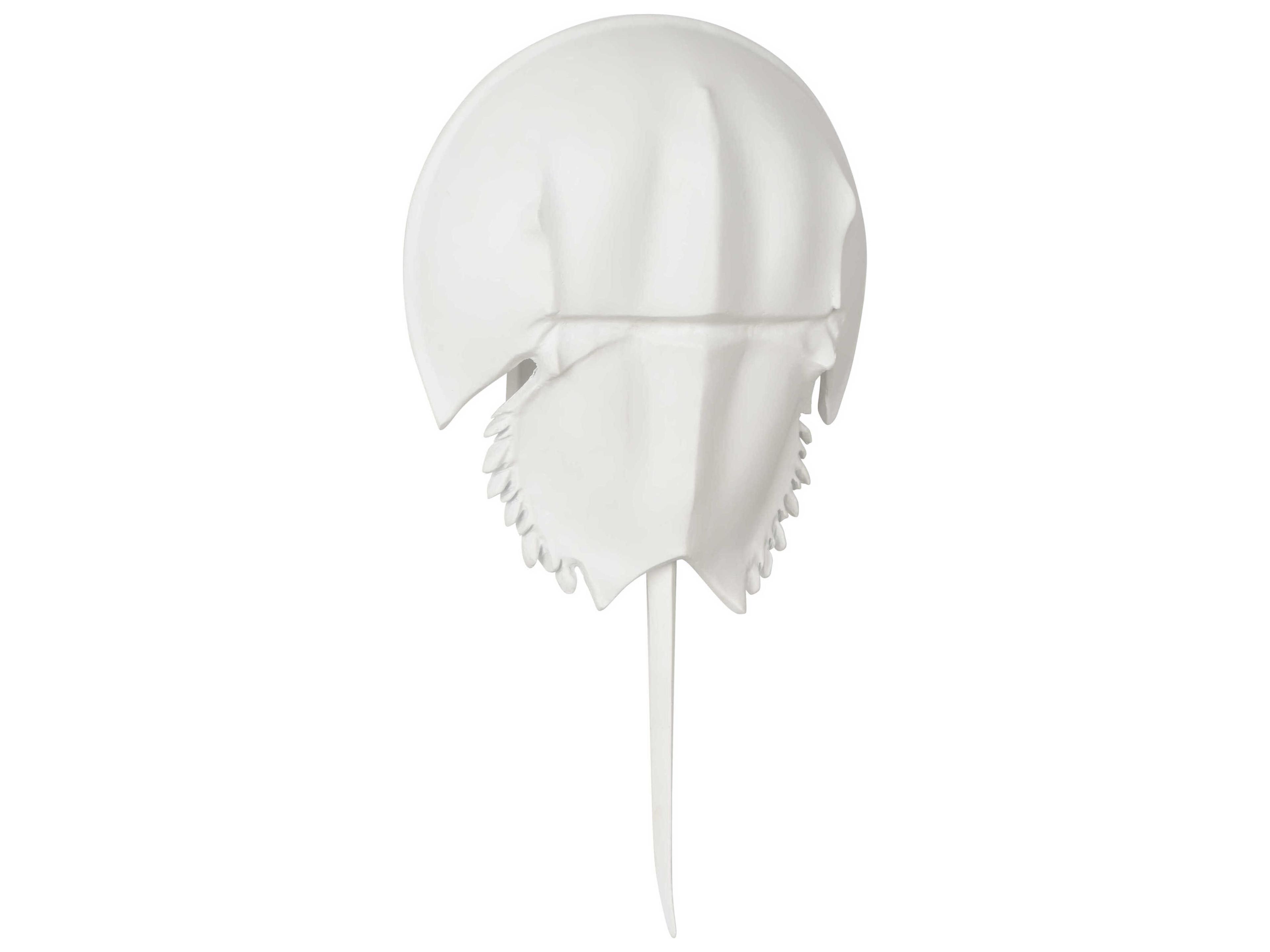 Chelsea House Horseshoe Crab 1-Light White Wall Sconce