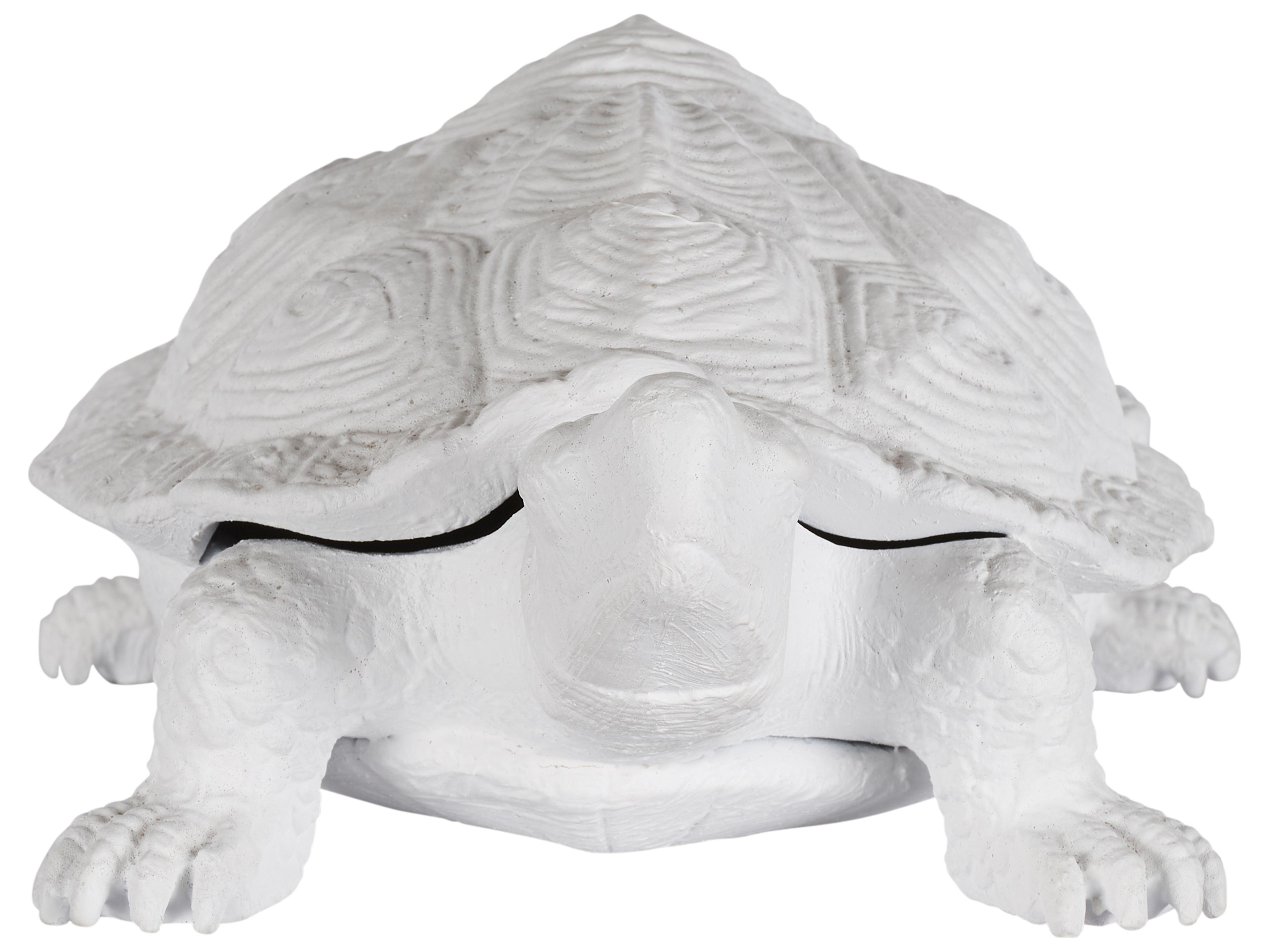 Chelsea House White Cream Decorative Accent