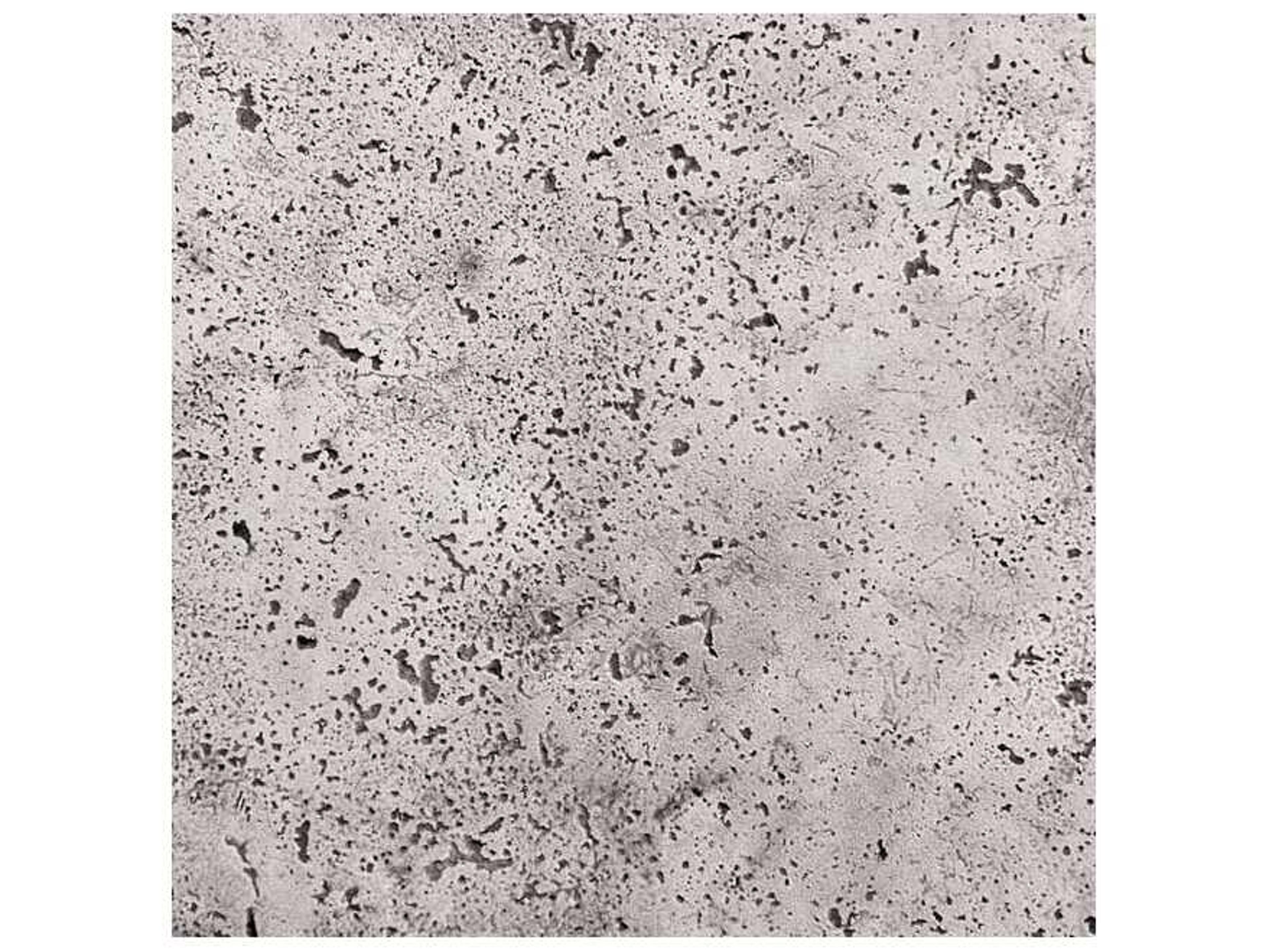 Classic Home Outdoor Debbie Light Grey Concrete Round Dining Table