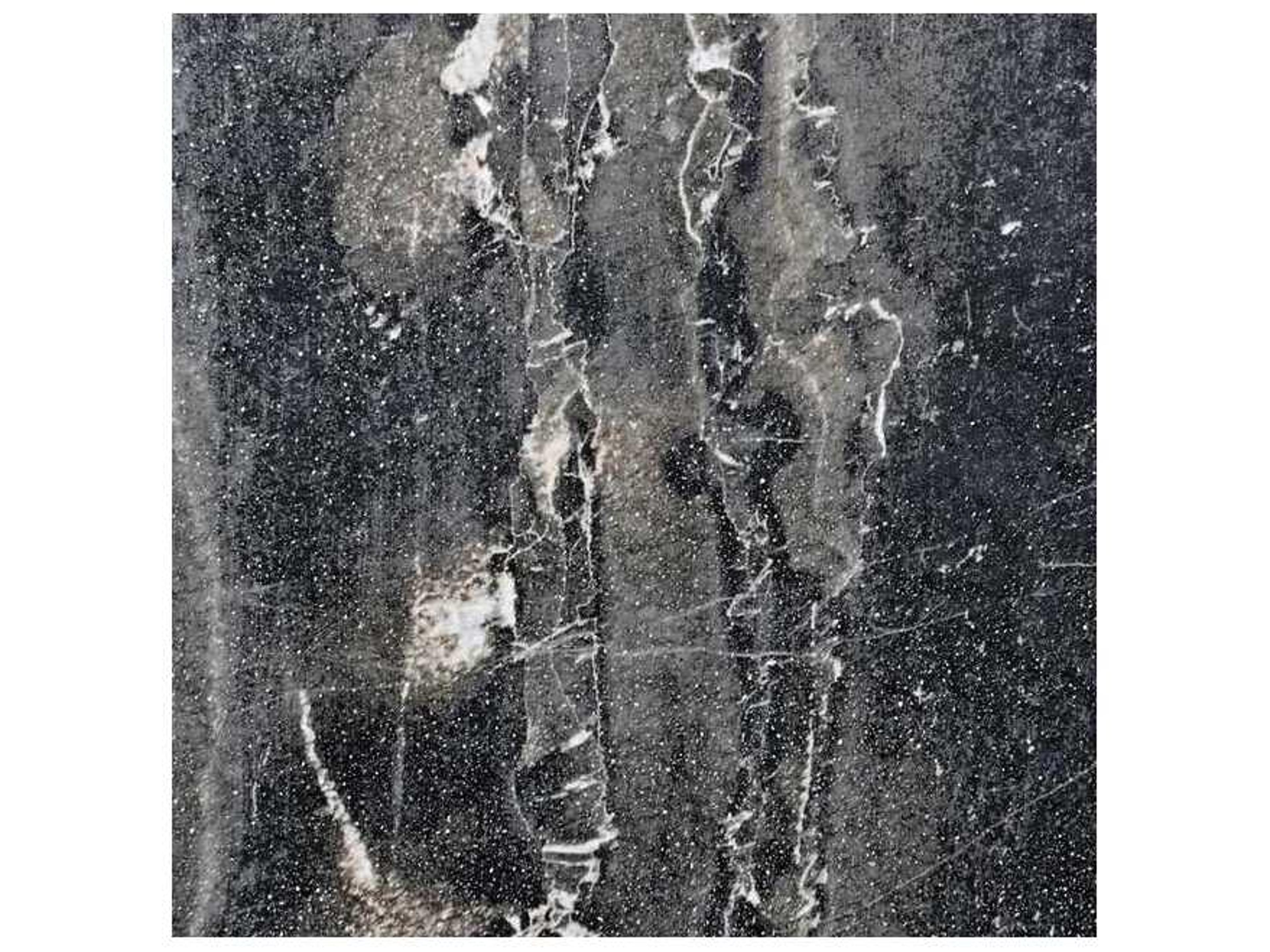 Classic Home Outdoor Fern Black Concrete Round End Table