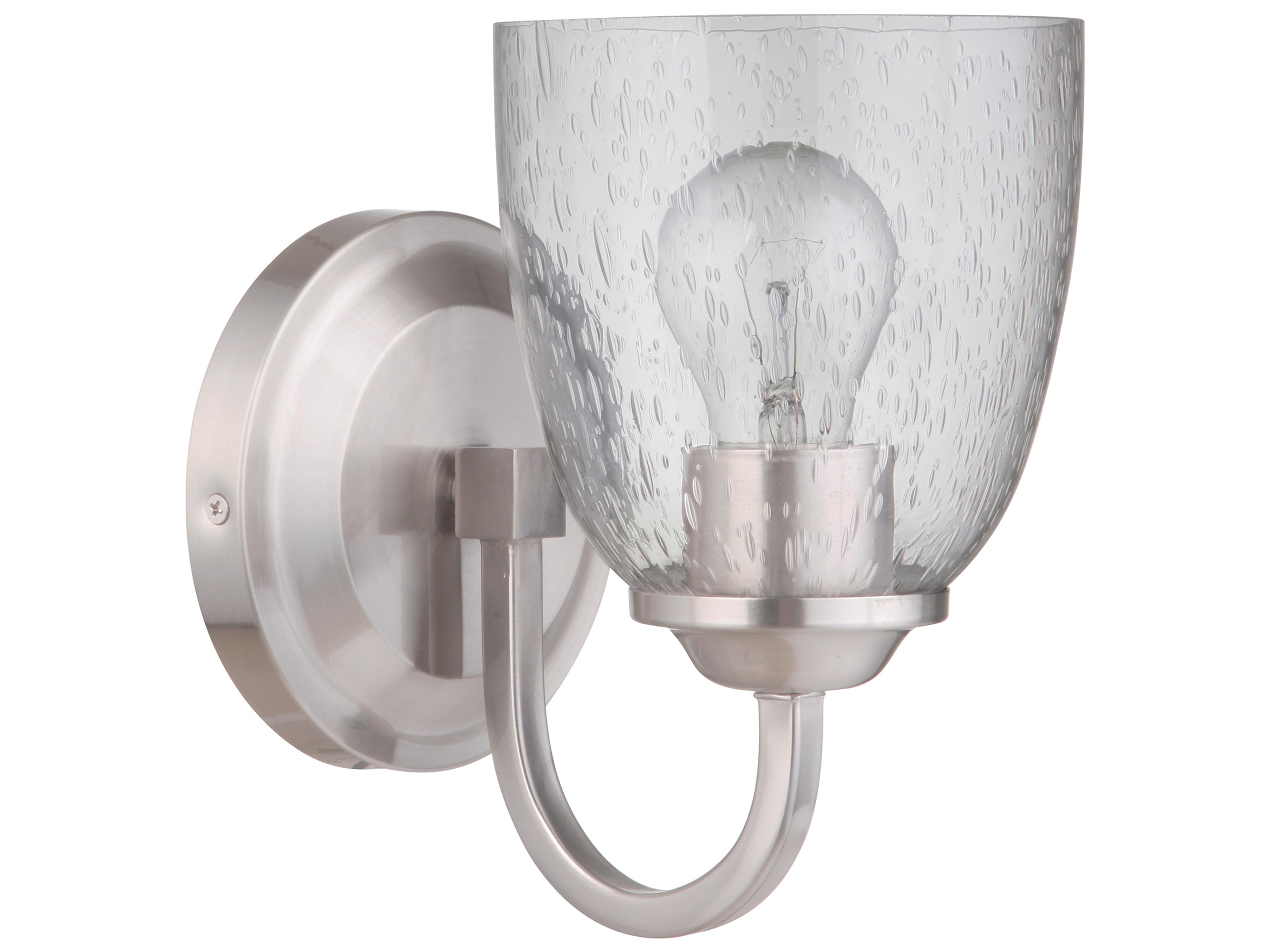 Serene 1-Light Brushed Polished Nickel Glass Vanity Light