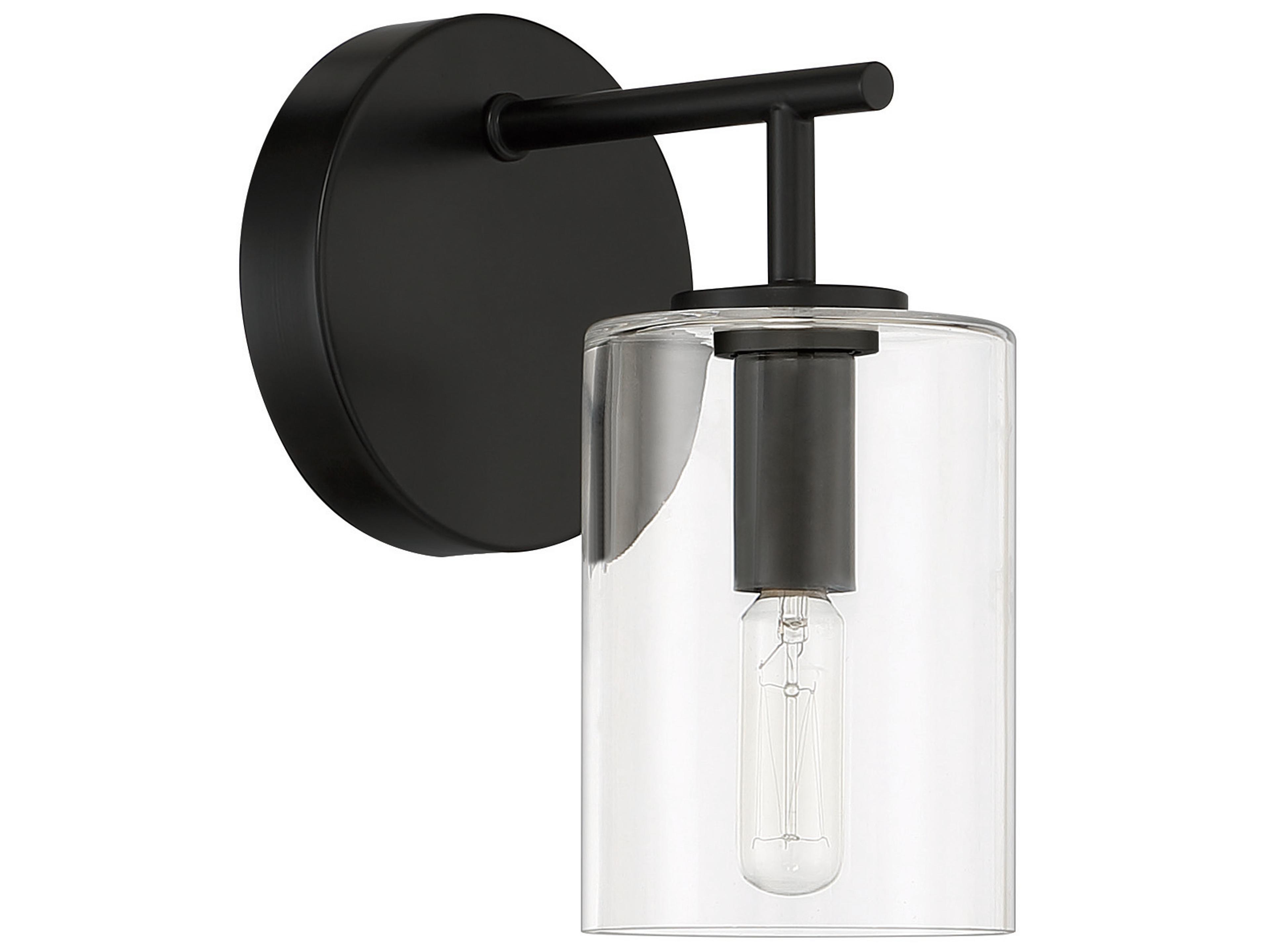 Hailie 1-Light Flat Black Glass Vanity Light