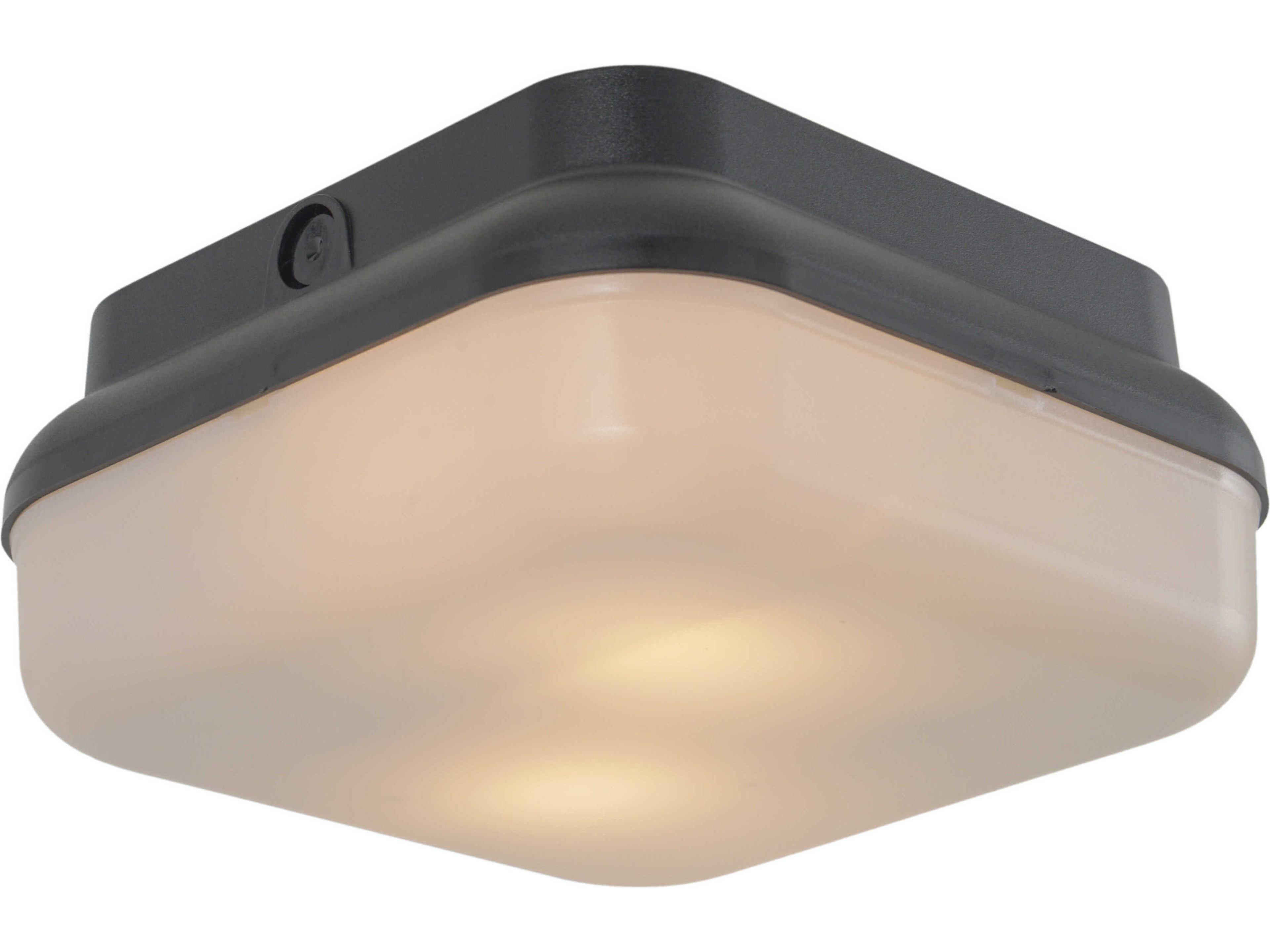 Craftmade Resilience 2 - Light Outdoor Ceiling Light