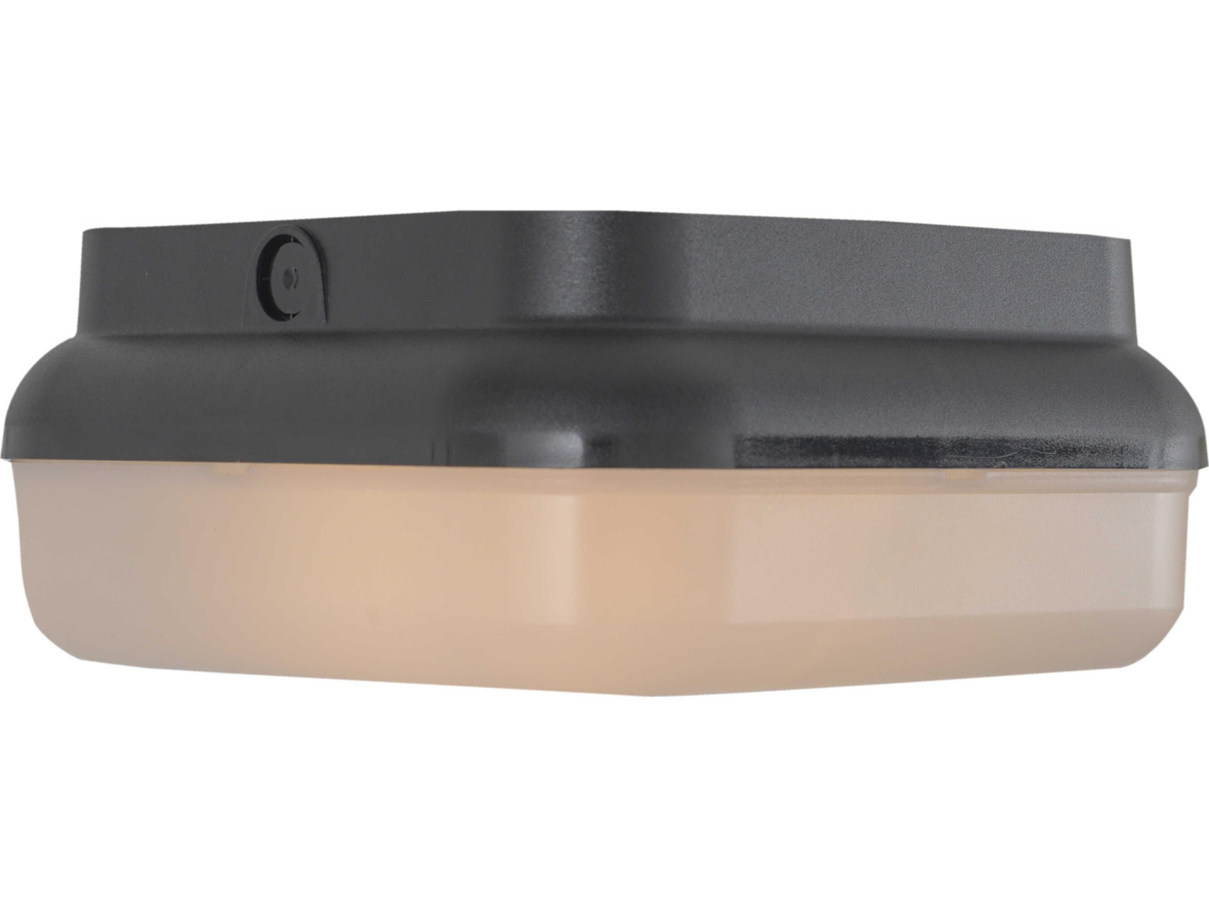 Craftmade Resilience 2 - Light Outdoor Ceiling Light