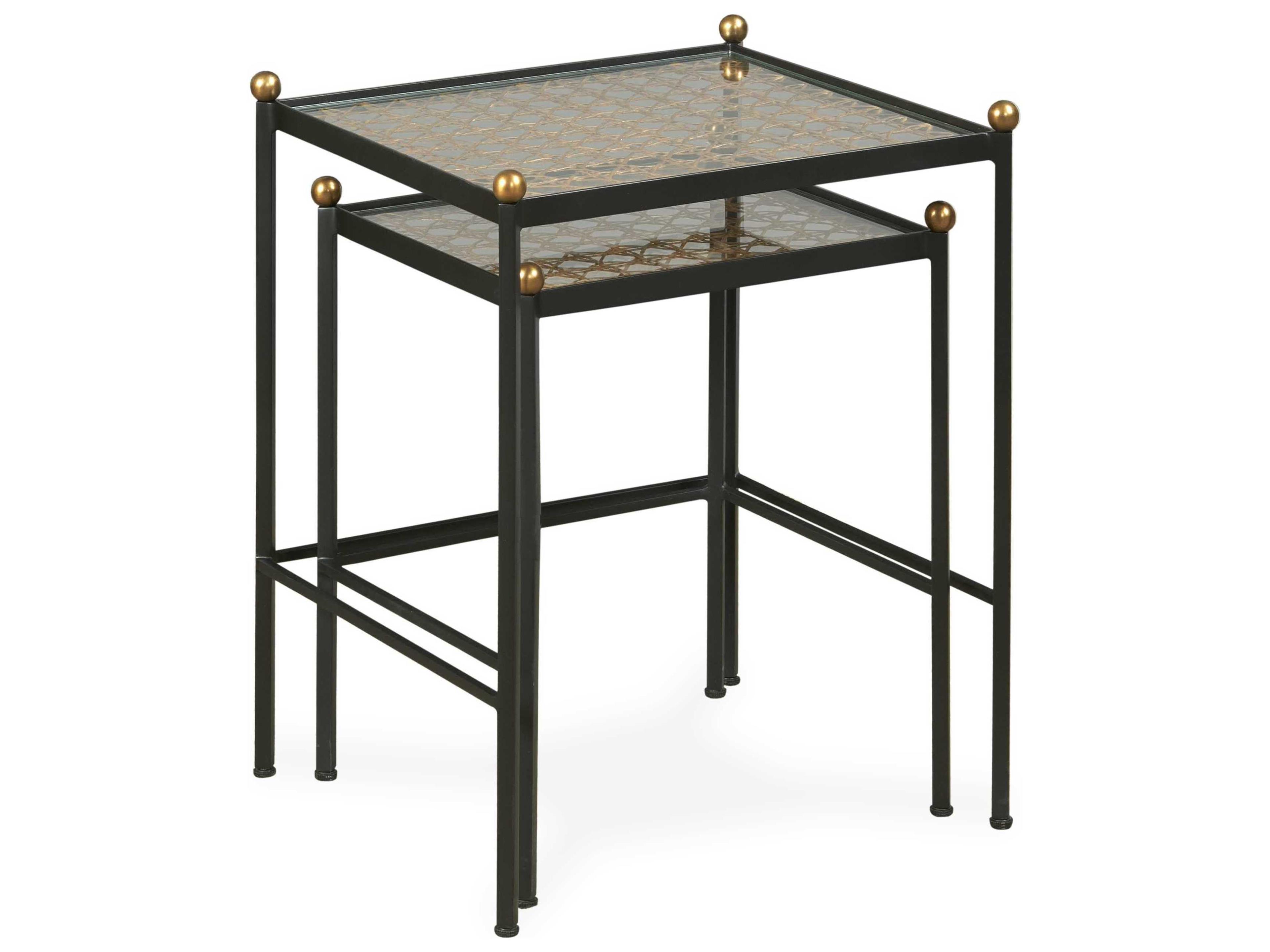 Thomas Obrien Rectangular Glass Rustic Black End Table