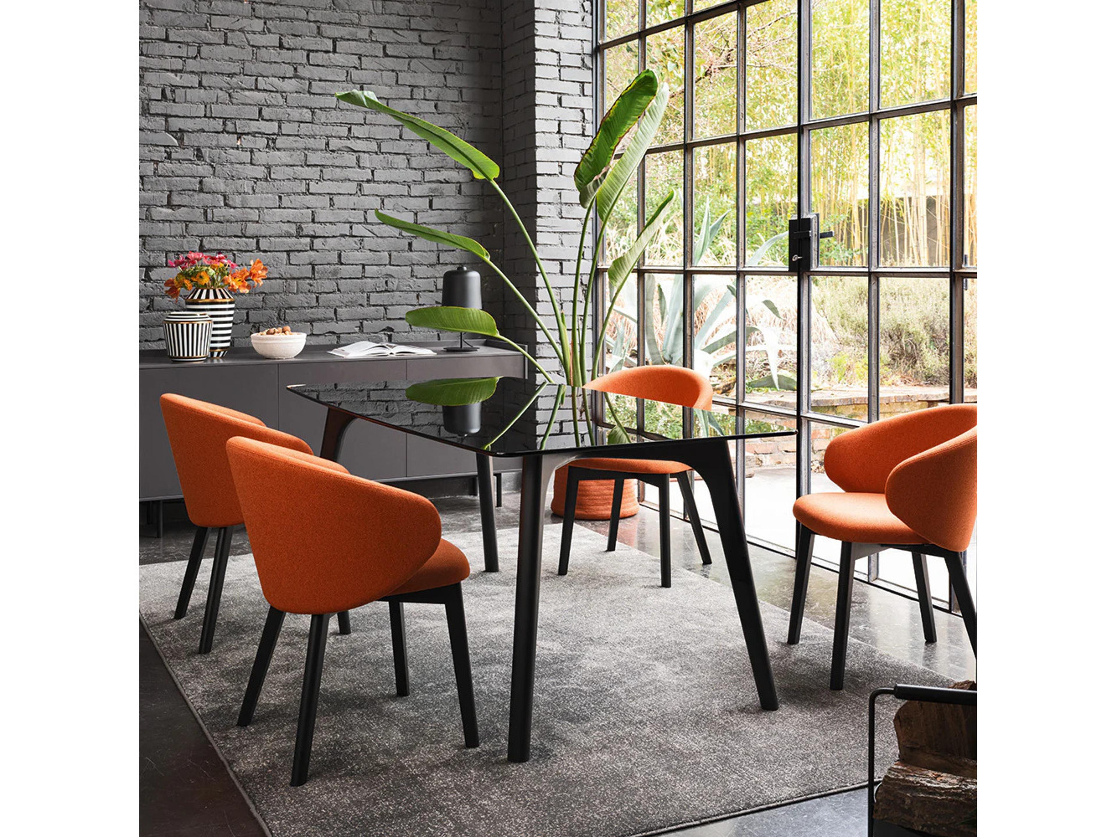 Connubia Tuka Beech Wood Gray Upholstered Arm Dining Chair