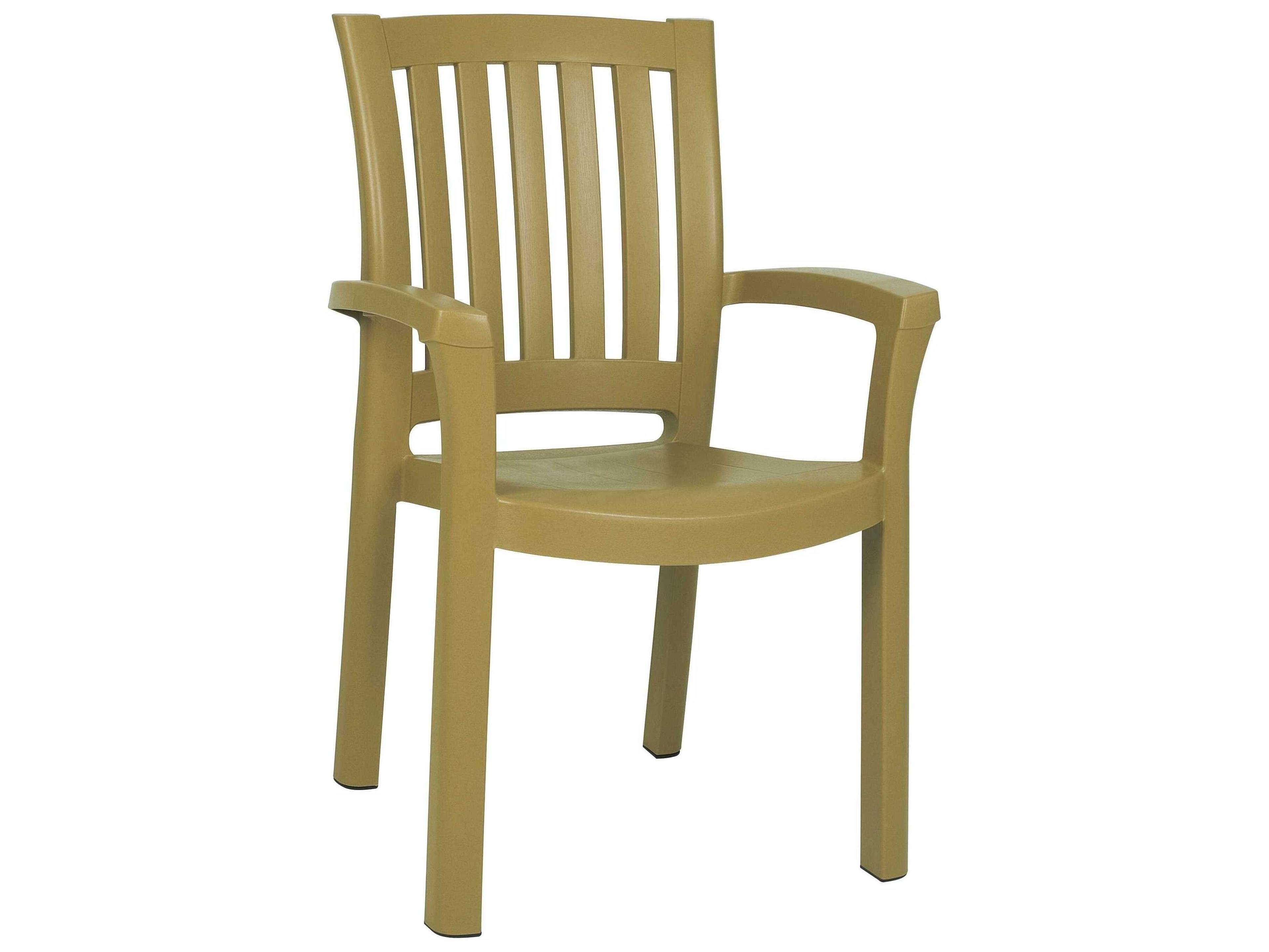 Sunshine Teak Brown Resin Dining Chair