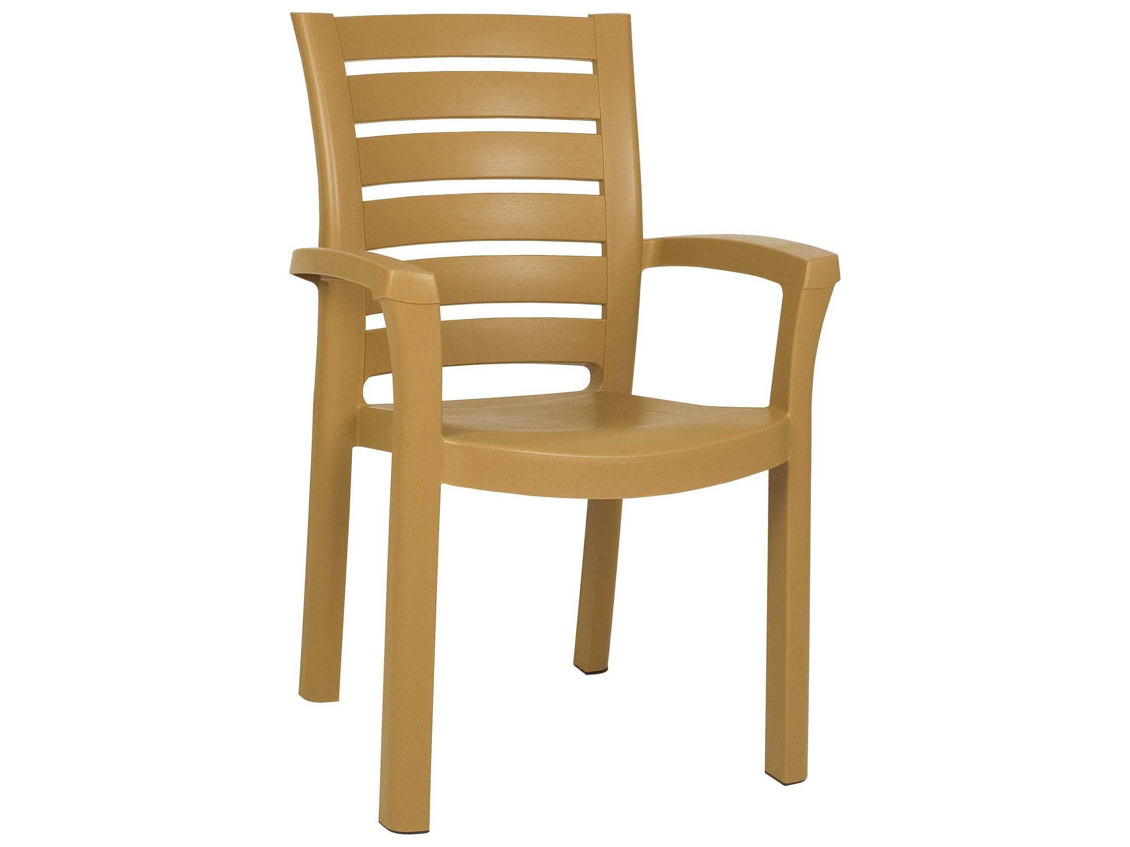 Marina Teak Brown Resin Dining Chair